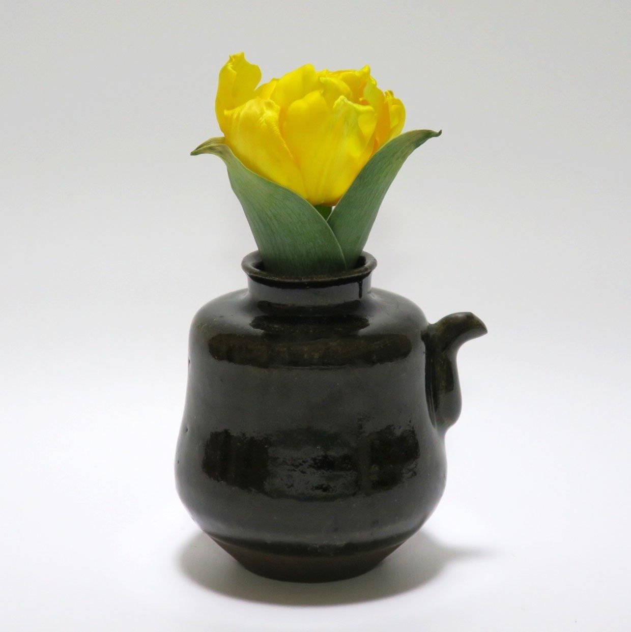 森博敬さんによる「マンボウ」の造形から、ゴッホの「自画像」への