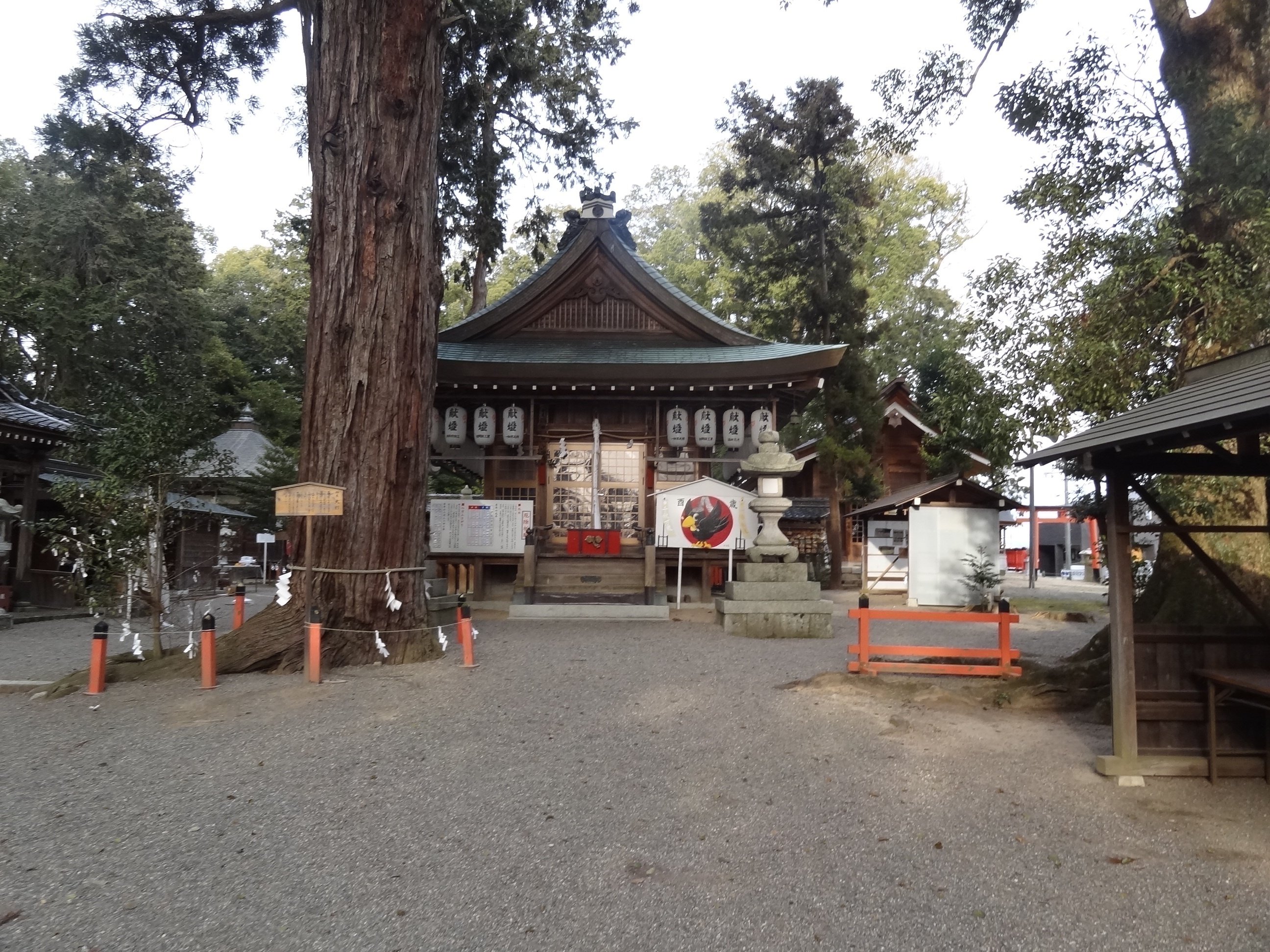 日本初の馬の国営牧場!陰陽道「賀茂神社」本殿裏に古代祭祀上 日本初の馬の国営牧場!陰陽道「賀茂神社」本殿裏に古代祭祀上