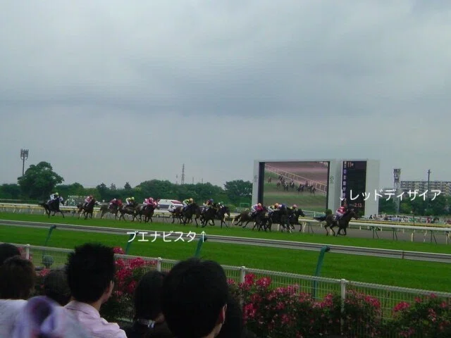 絶景（Buena Vista）を見た。〜2009年の、私と競馬。｜稲庭うどん