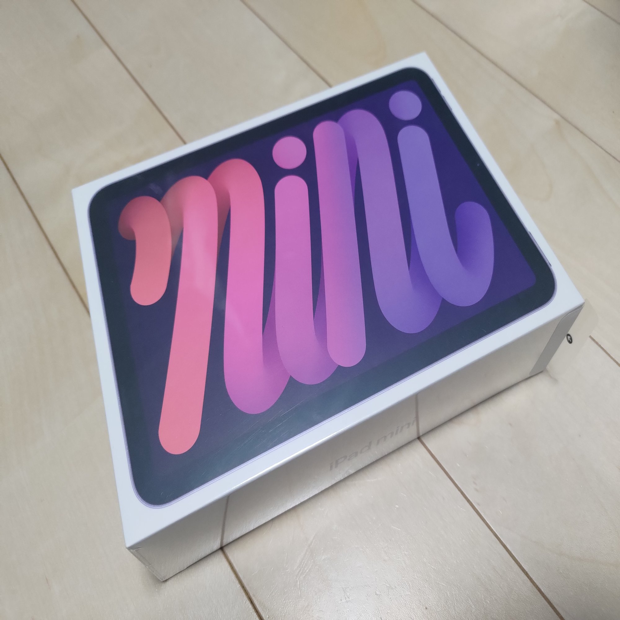 お絵描きのためにipad Miniを購入したら 1ヶ月で画力が爆上がりした話 しずなみ Note