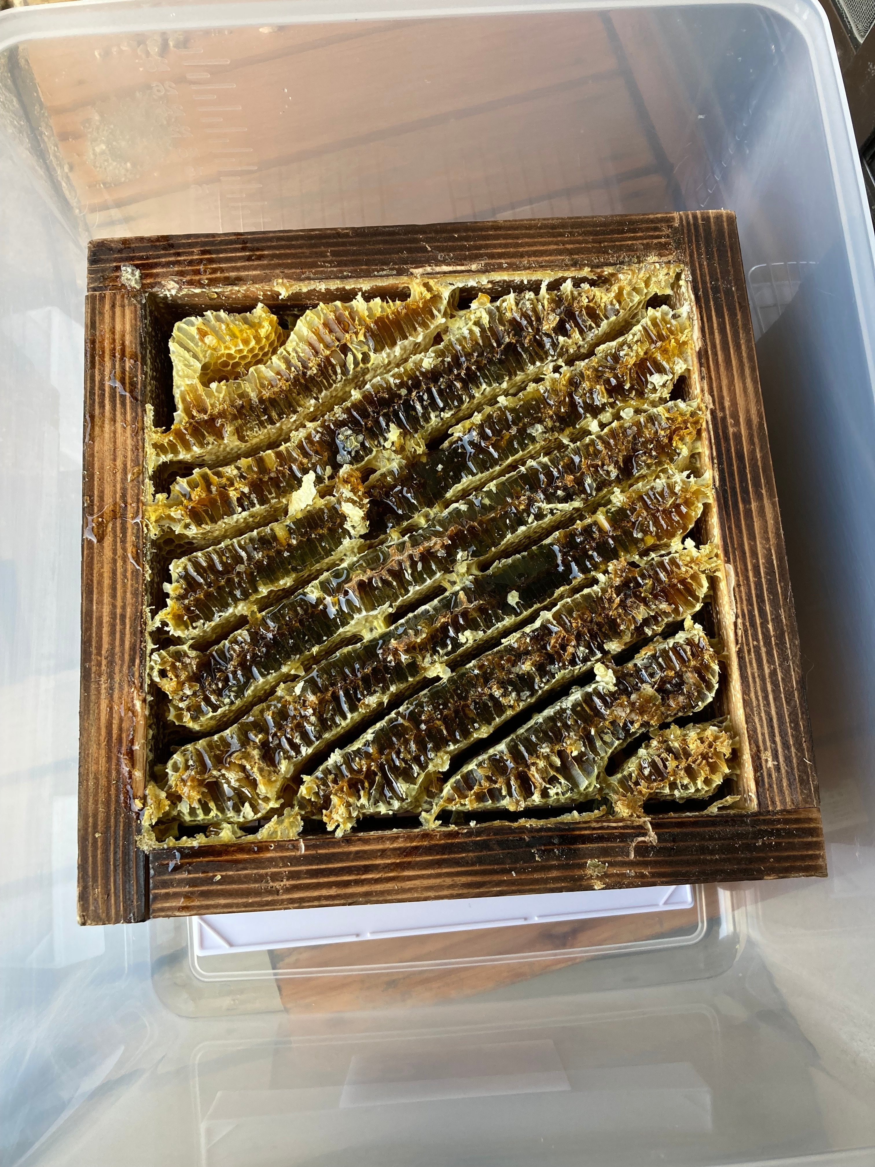 ニホンミツバチ採蜜道具セット ニホンミツバチの採蜜道具を徹底解説】【二ホンミツバチ飼育Q&A