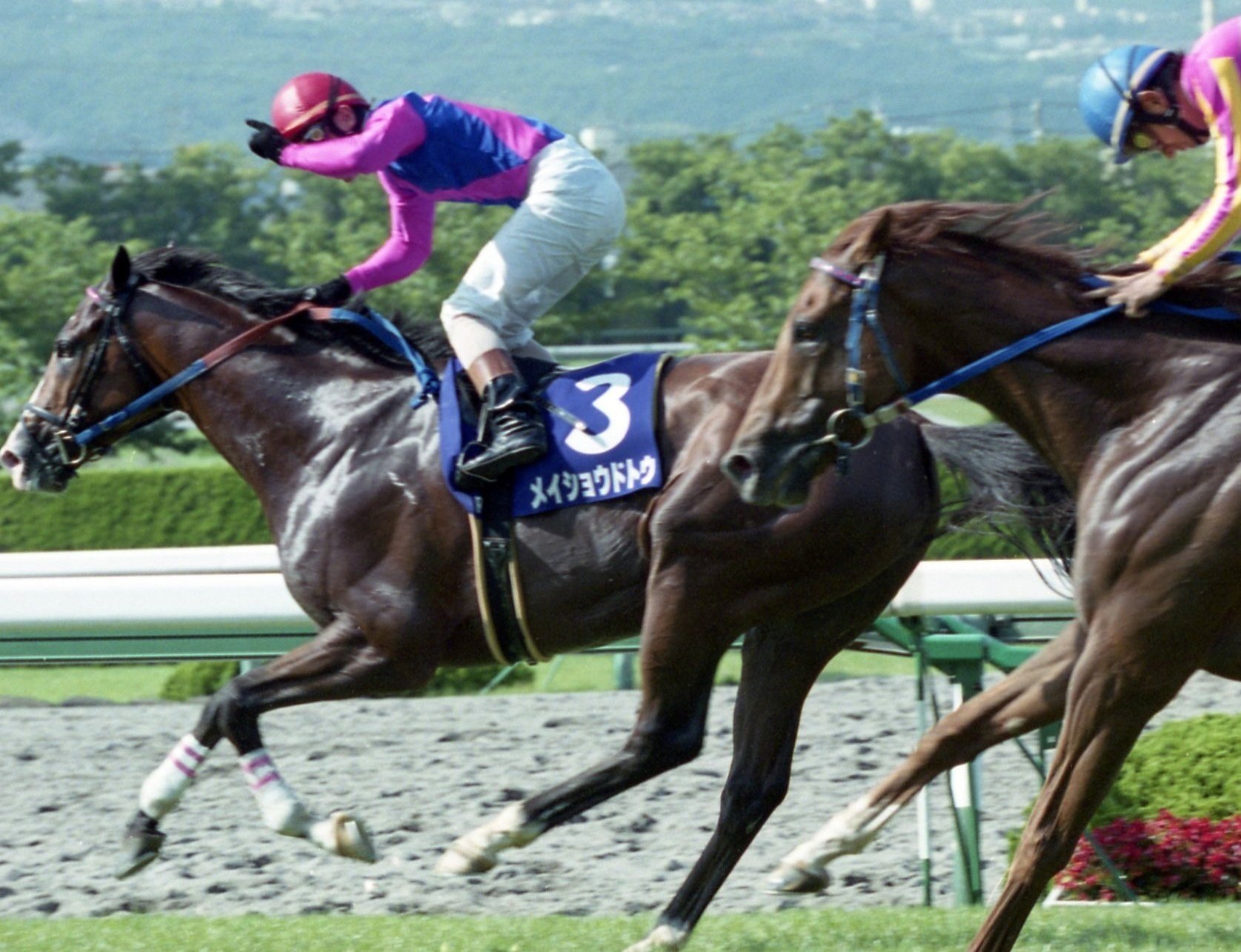 ウマ娘」の〝異界を行く者〟。秒で天下を取ったマンハッタン