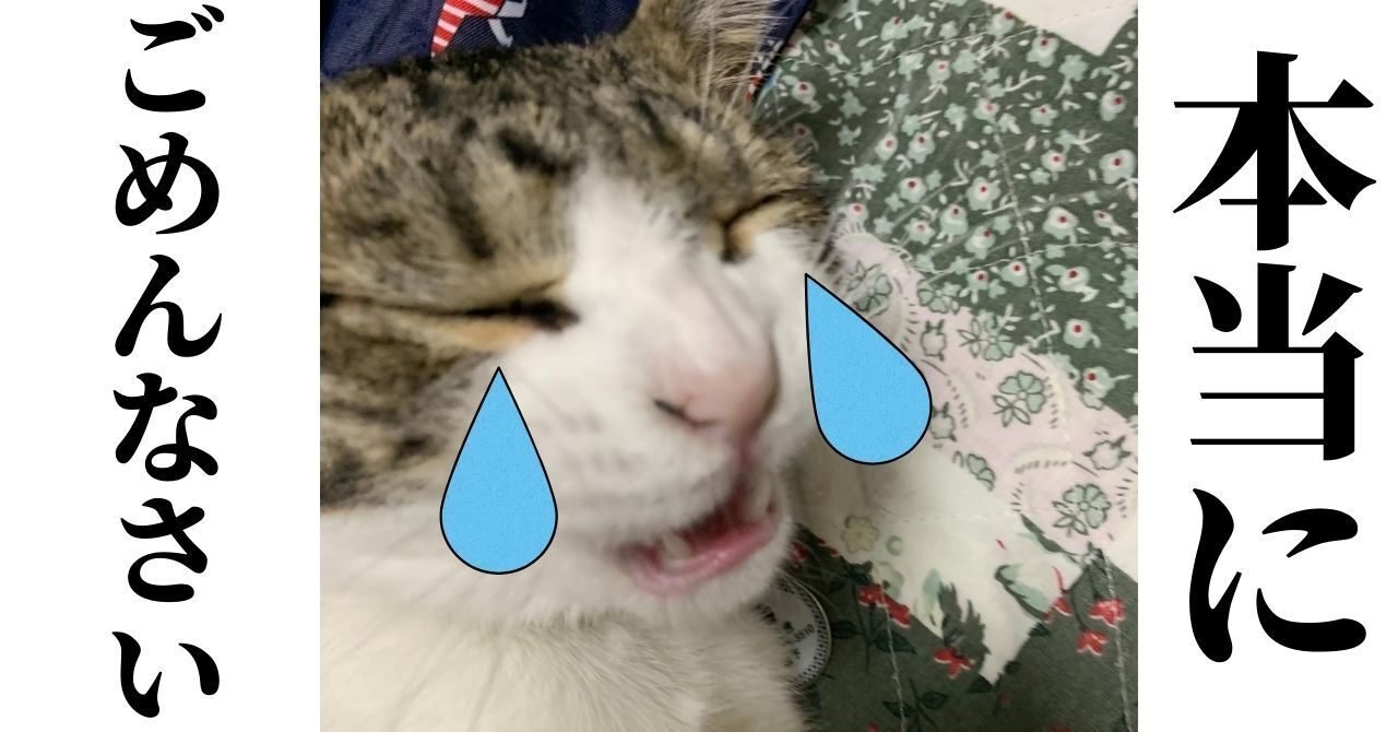 ぎゃああああ【これは痛恨のミス】｜琥珀ベイビー