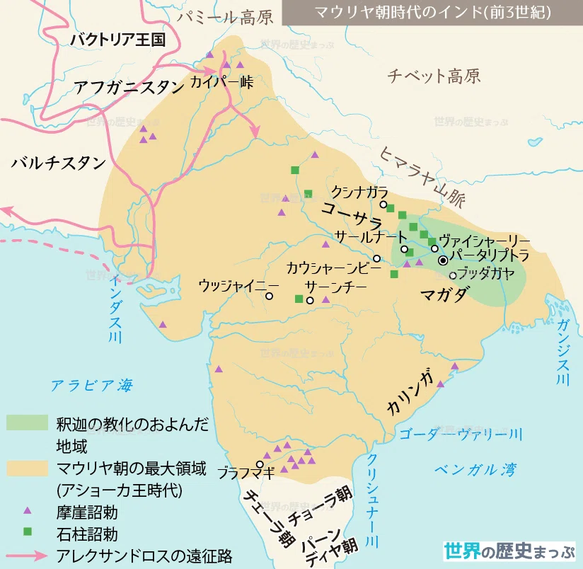人生は意外なところで繋がっている｜吉井知世｜スパイスのある暮らし