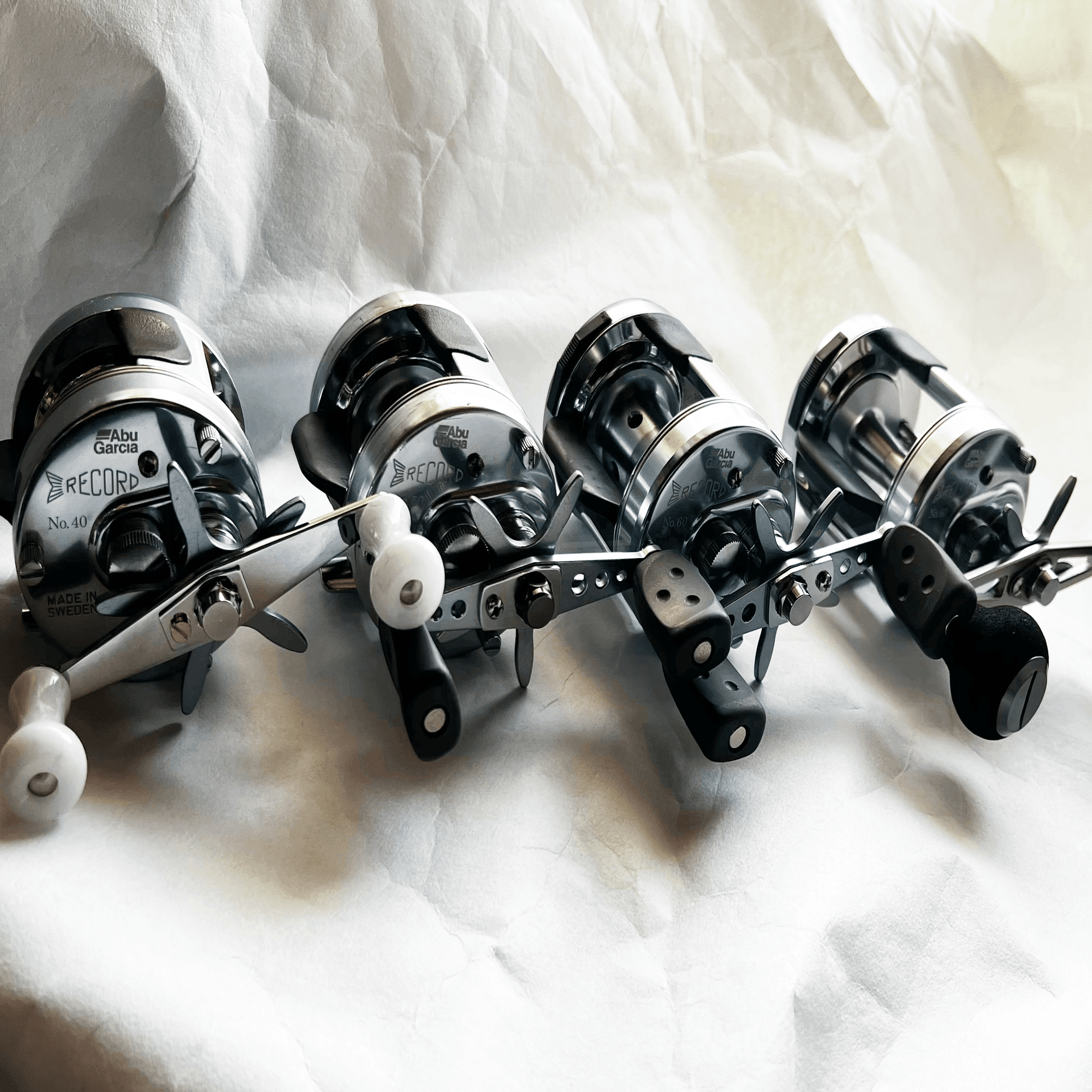 リールをめぐる冒険｜桜木勇太