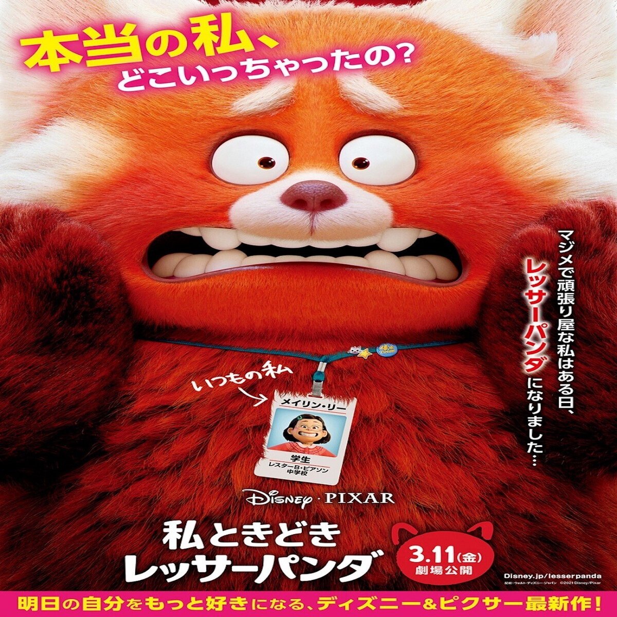 私ときどきレッサーパンダ 生理現象のタブー視 と 血縁の呪縛 からの解放 Iso Note