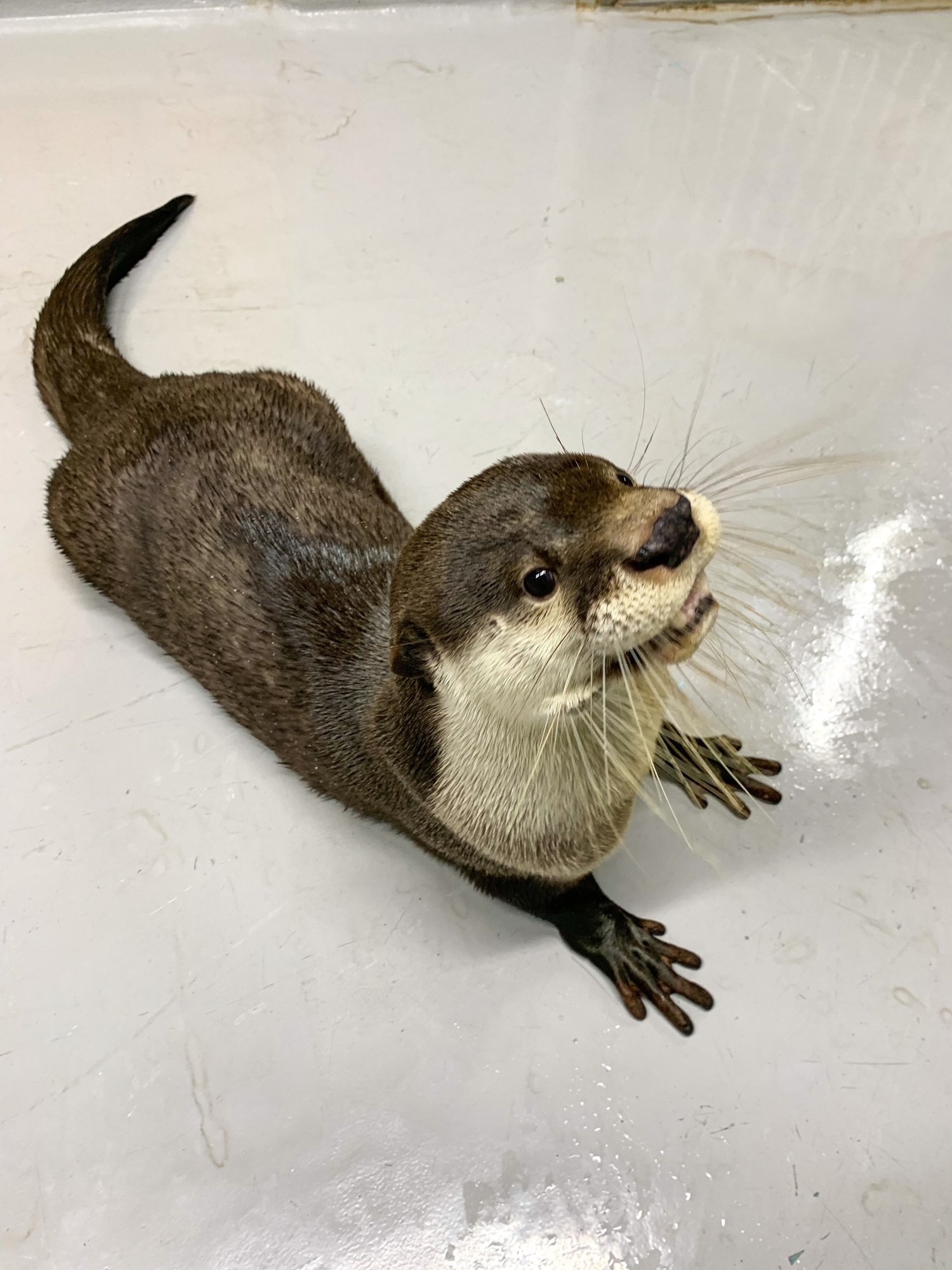 Nmxlh14hs6c59m Nmxlh14hs6c59m