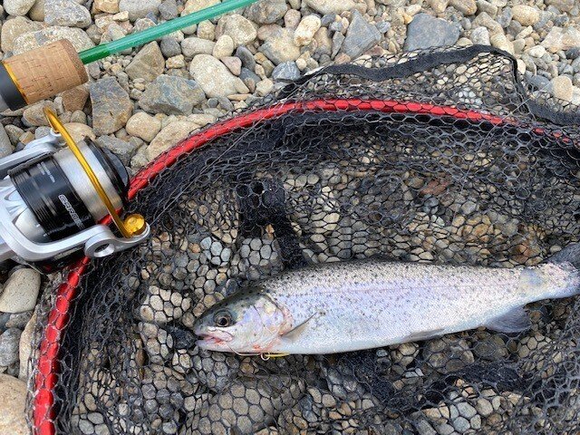 近くの、エリアトラウト釣り場にニジマスを釣りに行ってみた 近くの、エリアトラウト釣り場にニジマスを釣りに行ってみた