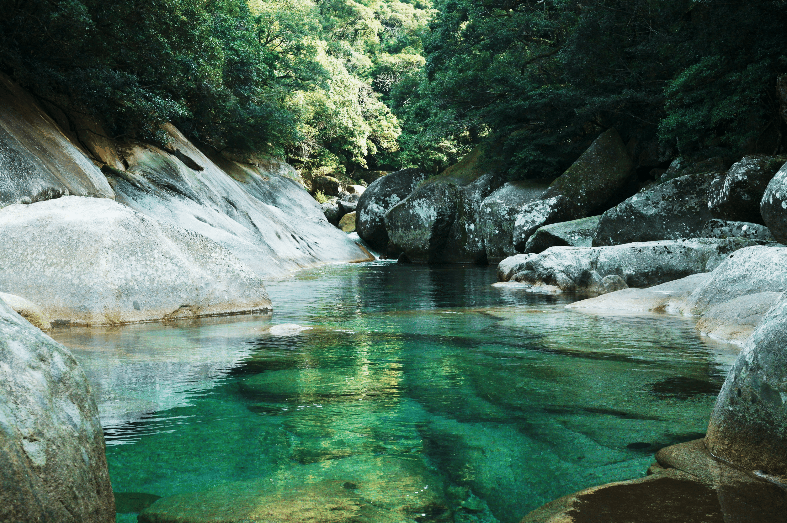 横河渓谷 の新着タグ記事一覧 Note つくる つながる とどける