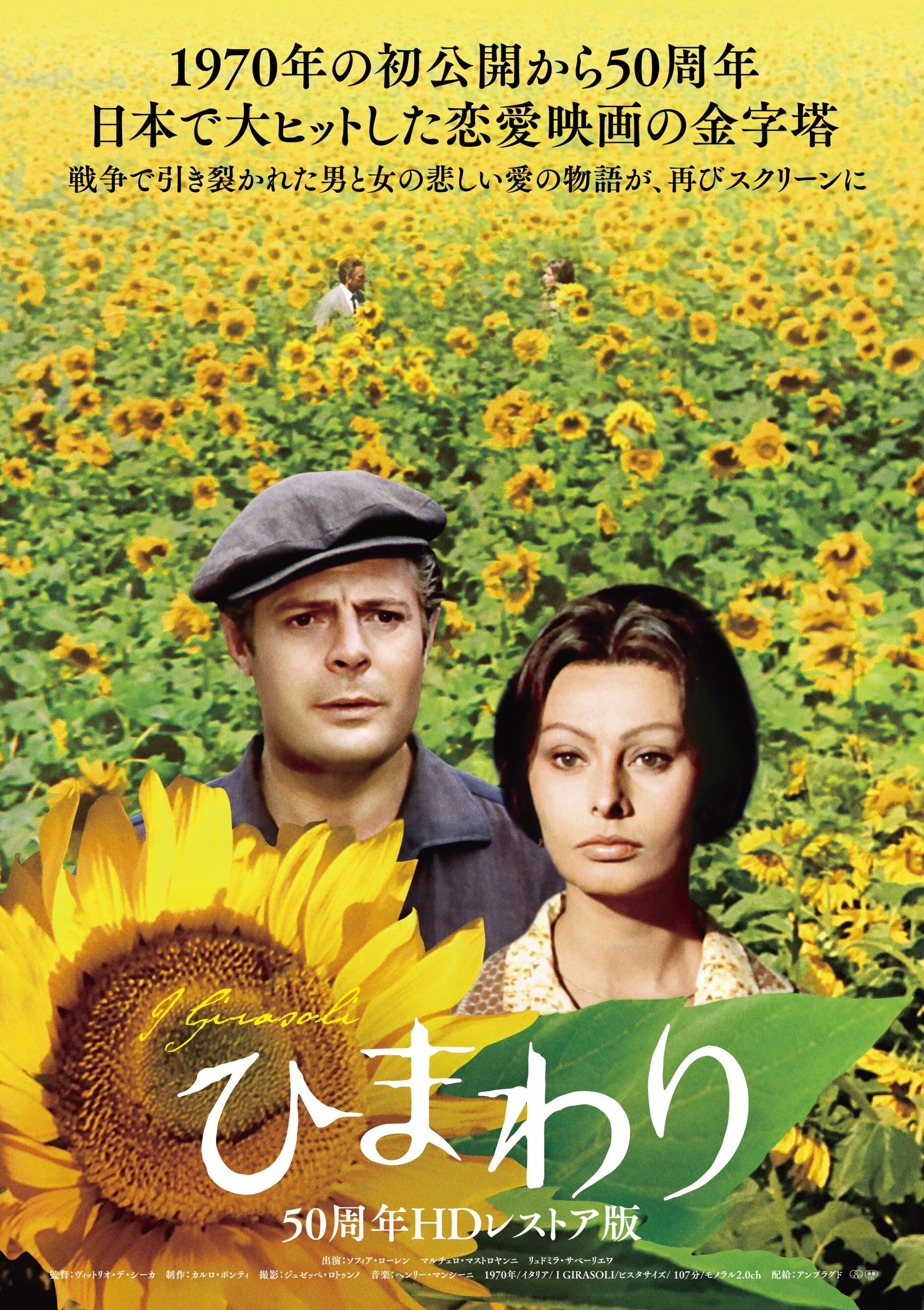 ひまわり』緊急上映に寄せて｜アンプラグド