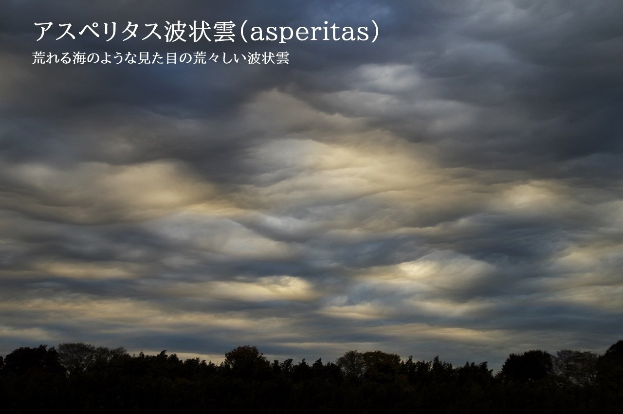 撮影者のための雲図鑑～新種・その他｜青木豊｜写真家・ストームチェイサー