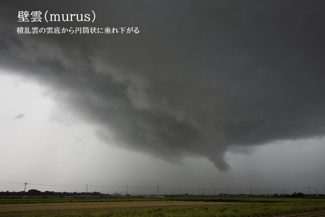 撮影者のための雲図鑑～新種・その他｜青木豊｜写真家・ストームチェイサー