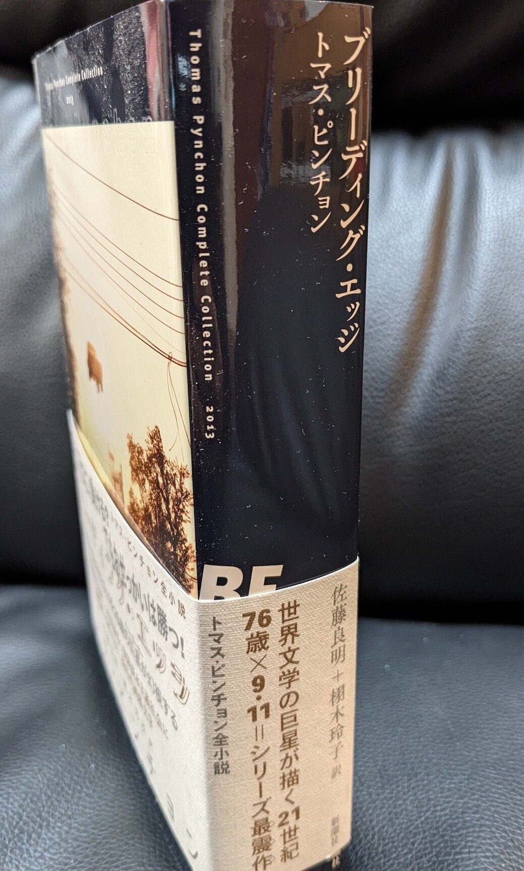 生きるってすばらしい・大きな活字で読みやすい本・新編日本の名随筆