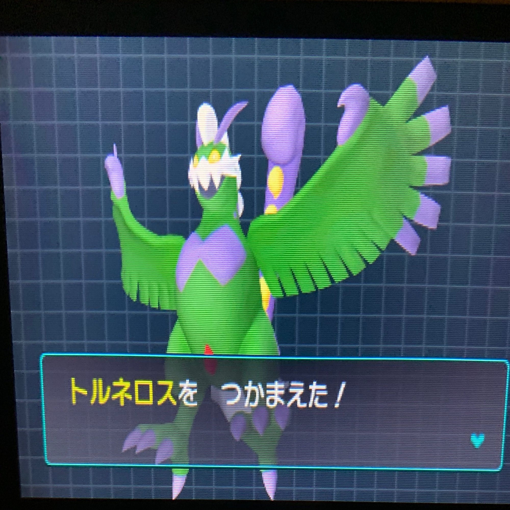 ポケモンブラック殿堂入り達成 十六夜 Note