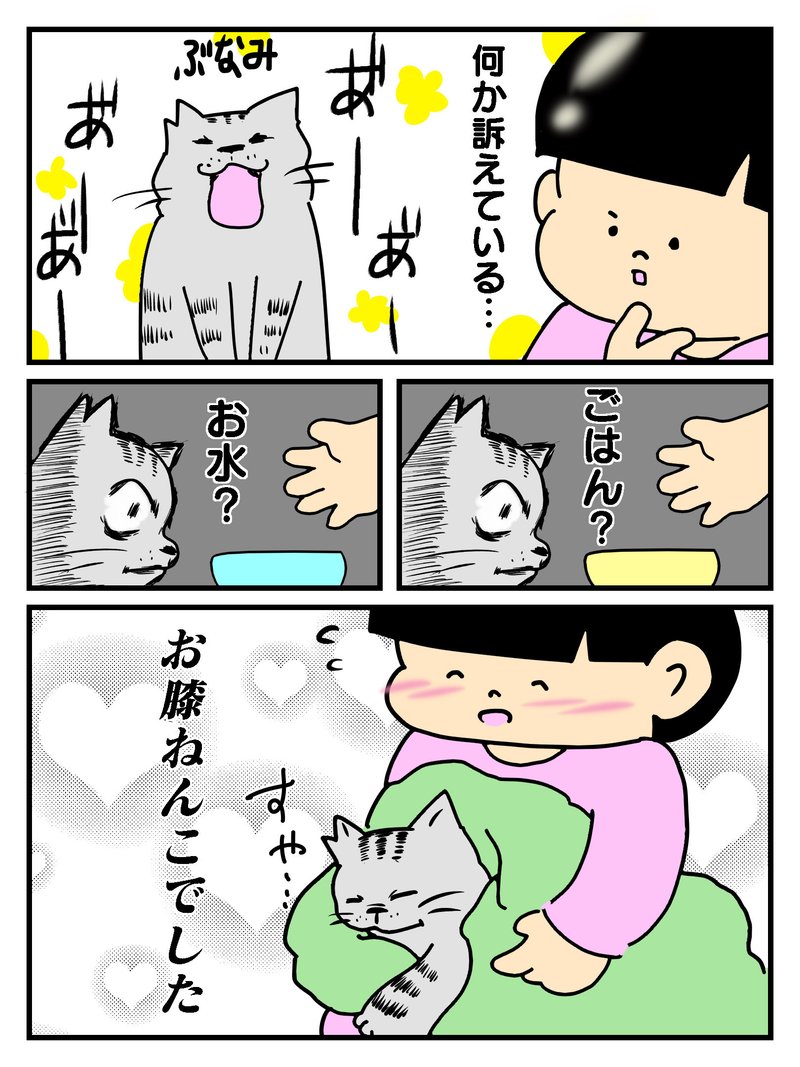 猫のために、痺れない足がほしい…