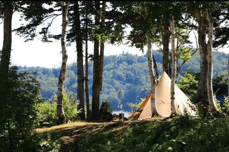 秋に挑戦！【ソロキャン初心者向け】ソロはこう楽しむ！ソロキャンの