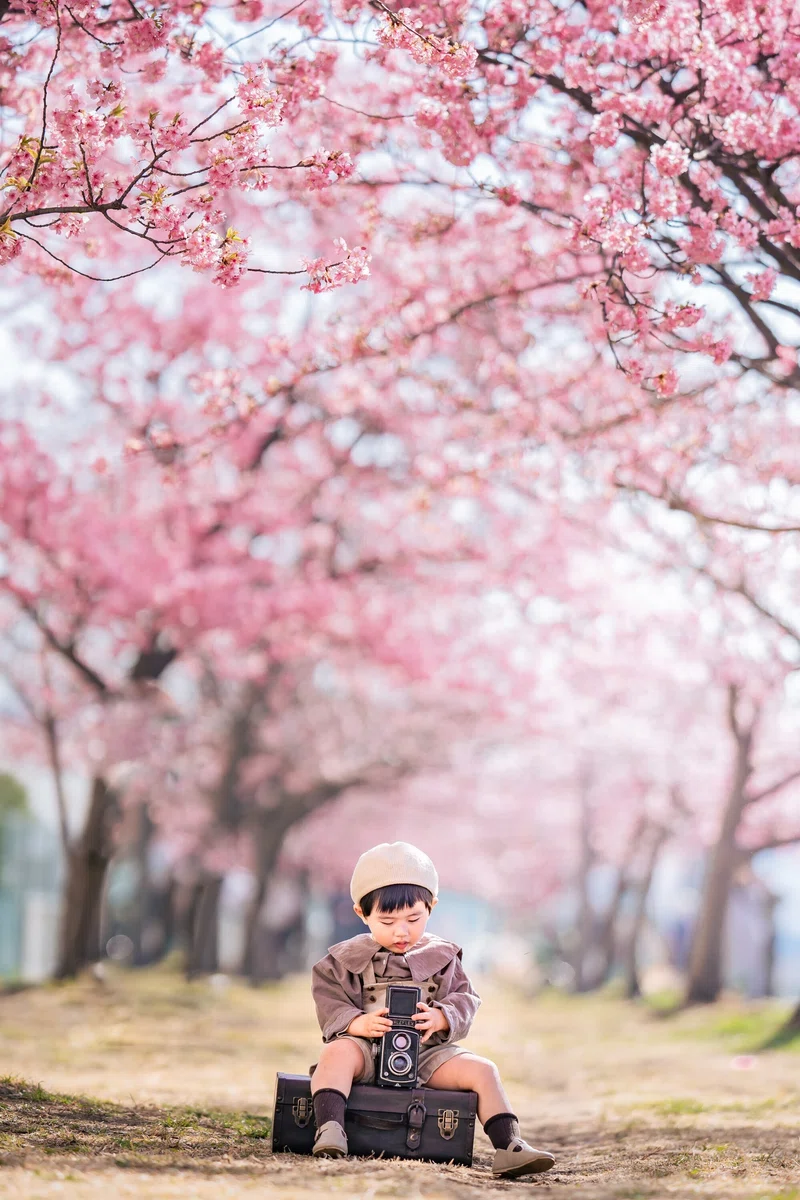 わたしの街の桜 フォトレシピキャンペーン結果発表 Fotomoti公式 Note わたしの街の桜 フォトレシピキャンペーン結果発表 Fotomoti公式 Note