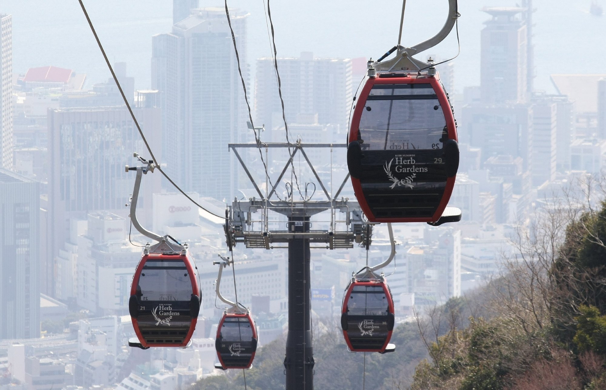 ロープウエー行き交う街 神戸 神戸新聞公式 うっとこ兵庫 ロープウエー行き交う街 神戸 神戸新聞公式 うっとこ兵庫
