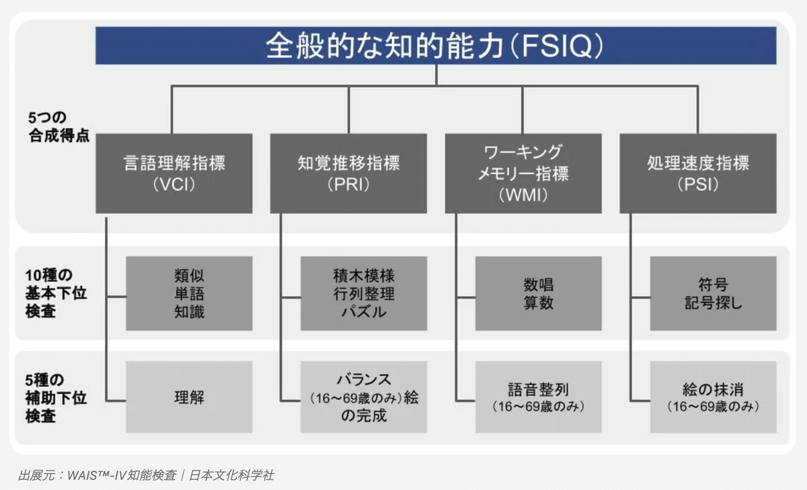 WISC Ⅲ 検査道具 検査用紙 マニュアル セット - その他