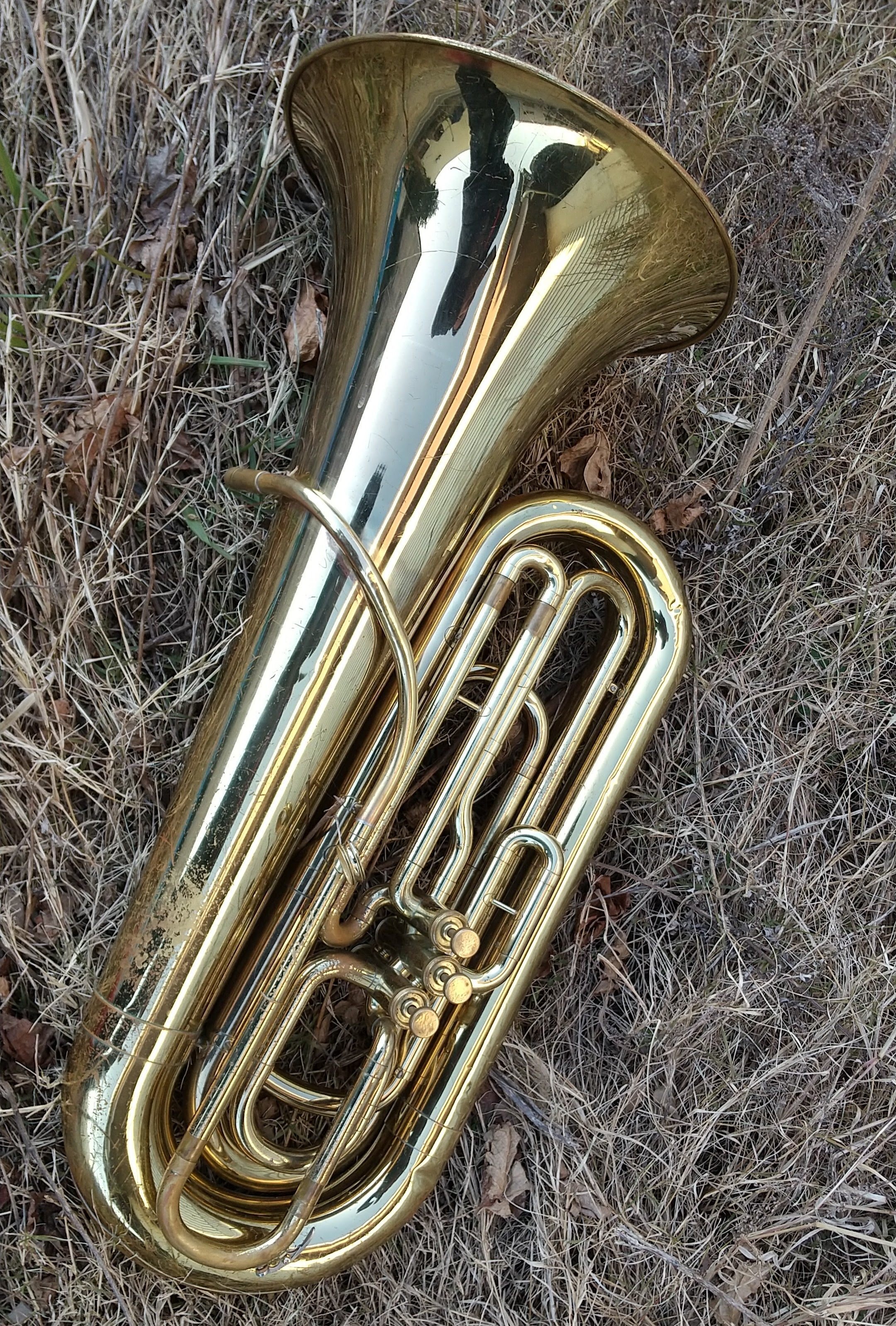 My Old Gear あれこれ(MNG前章)|Daysuke Takaoka(blowbass) My Old Gear あれこれ(MNG前章)|Daysuke Takaoka(blowbass)