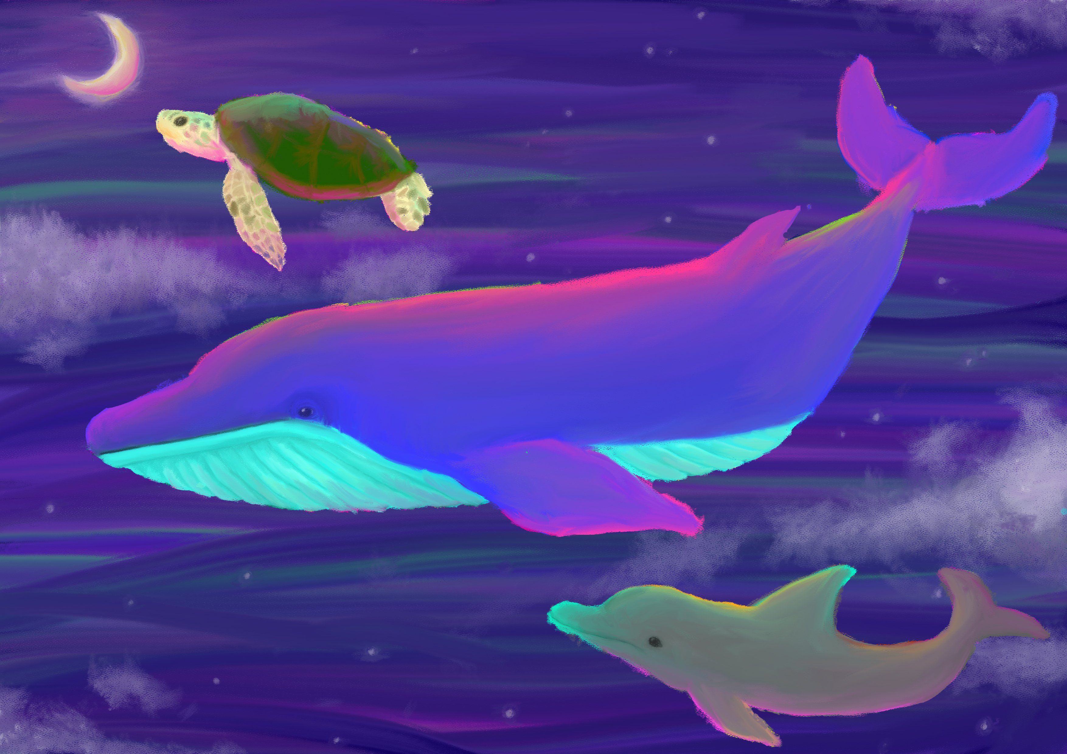 空飛ぶクジラ｜あおぞら