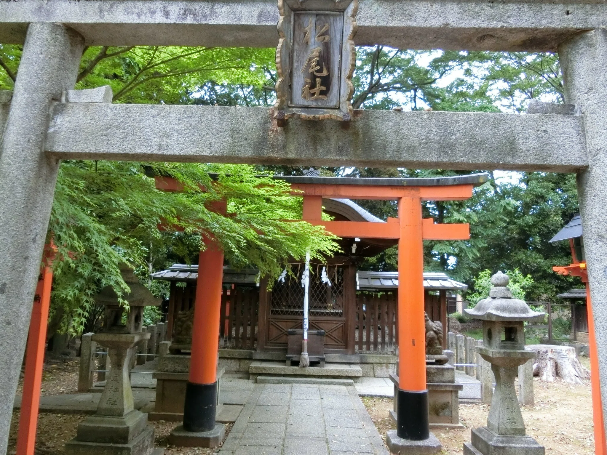 御神水で美酒「御香宮神社」香椎宮遷宮?面白い神様たち【京都伏見