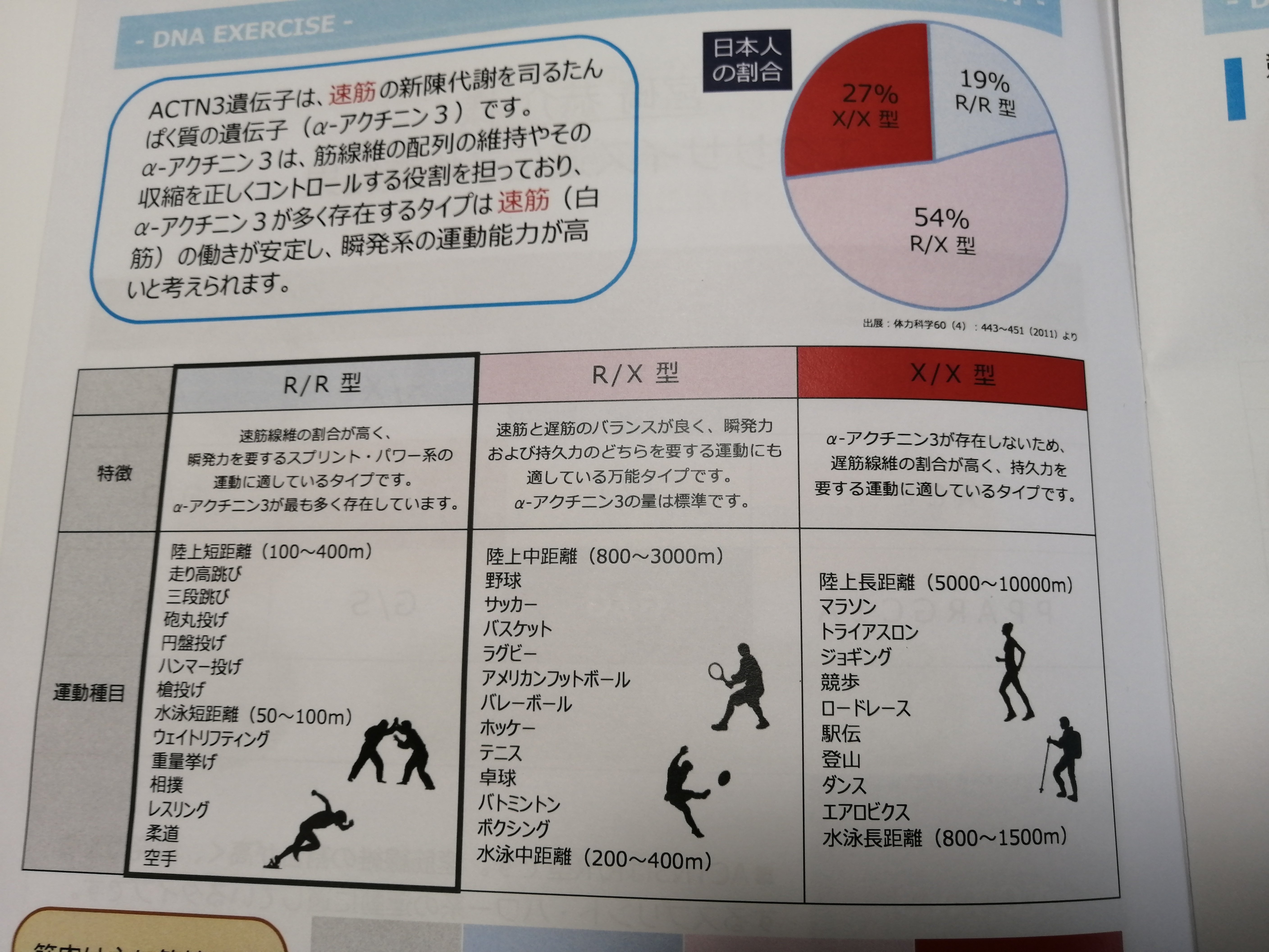 スポーツ遺伝子を検査してみた｜ebi
