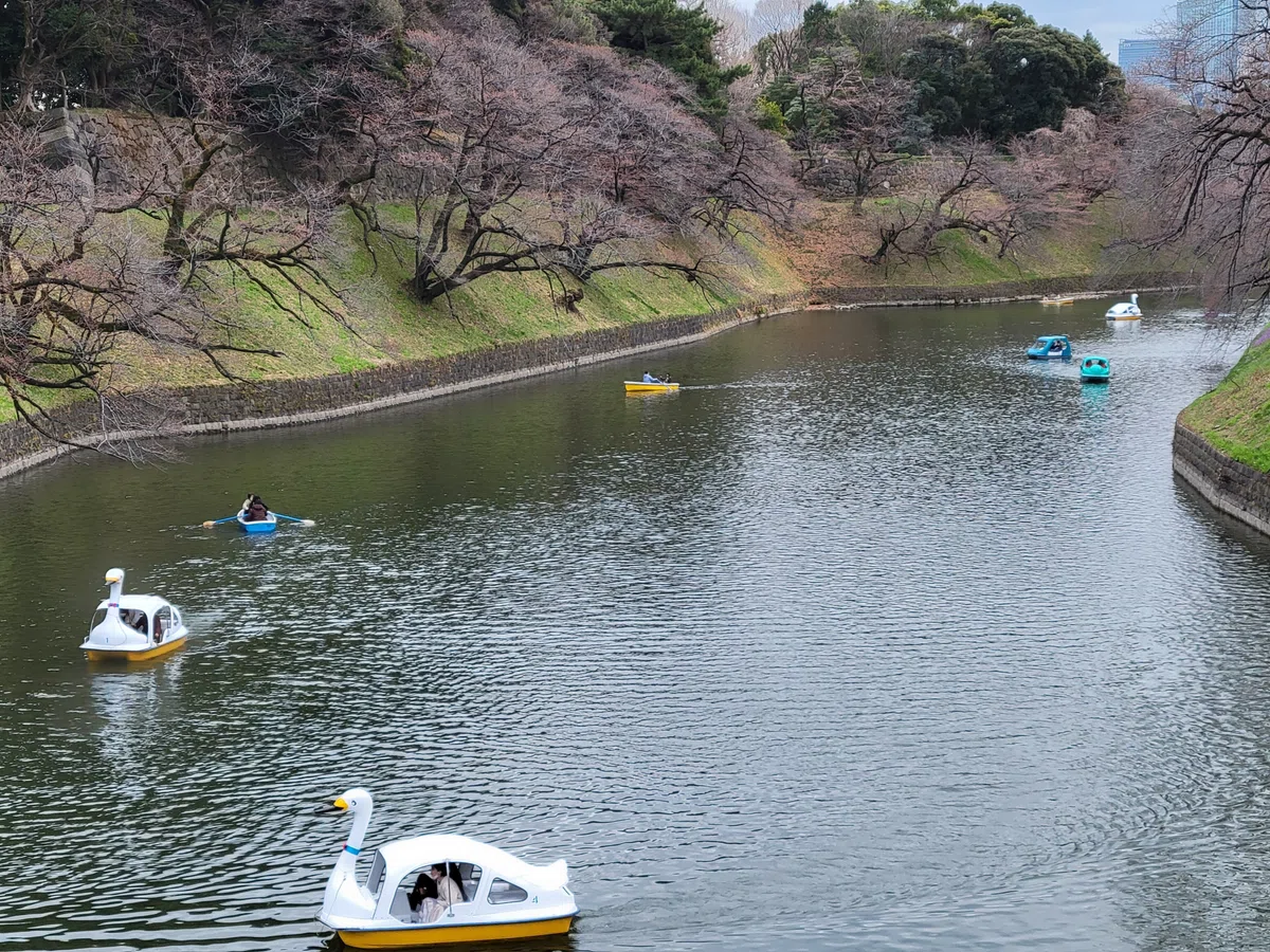 [Essay] The Boat Landing Along the Green Path｜Yukihiro🧸