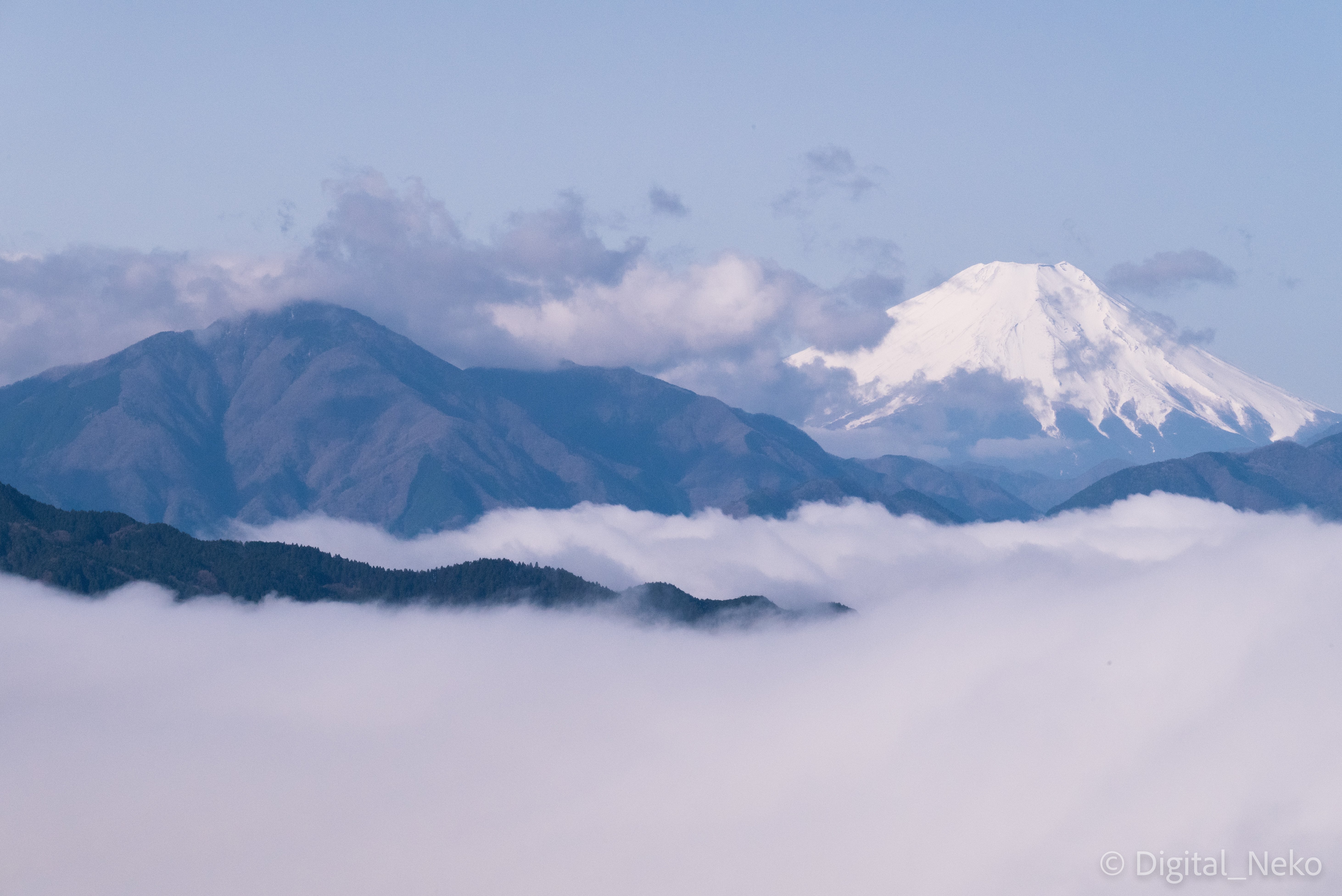 No.1063 八海山 初孫 みむろ杉 くどき上手 尾瀬の雪どけ 秀鳳 No.1063 八海山 初孫 みむろ杉 くどき上手 尾瀬の雪どけ 秀鳳 日新