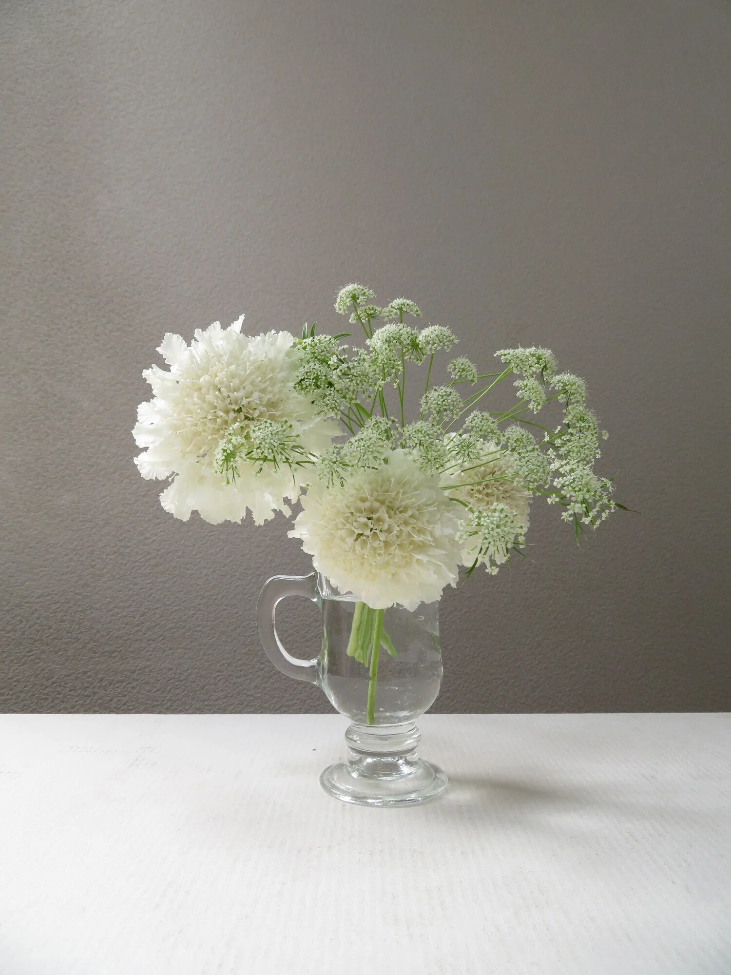 購入から3週間目。白いお花が満開に。｜花と日々 yas