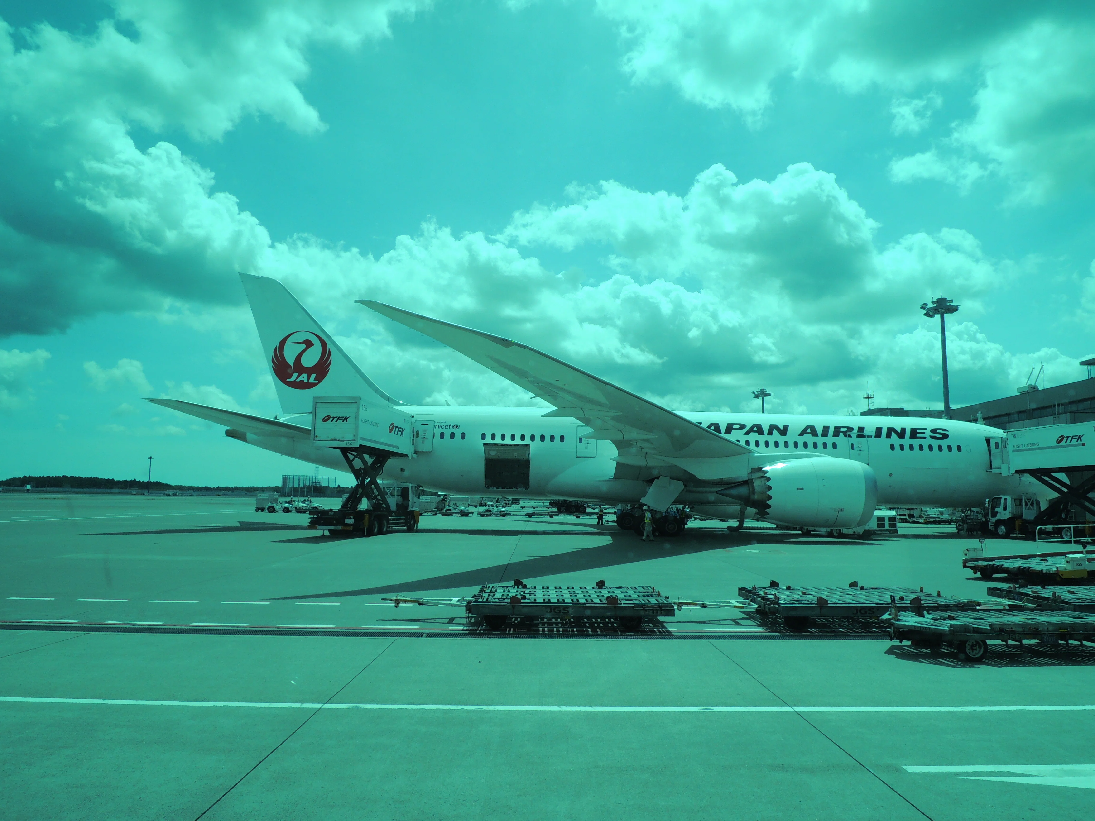 JAL jal