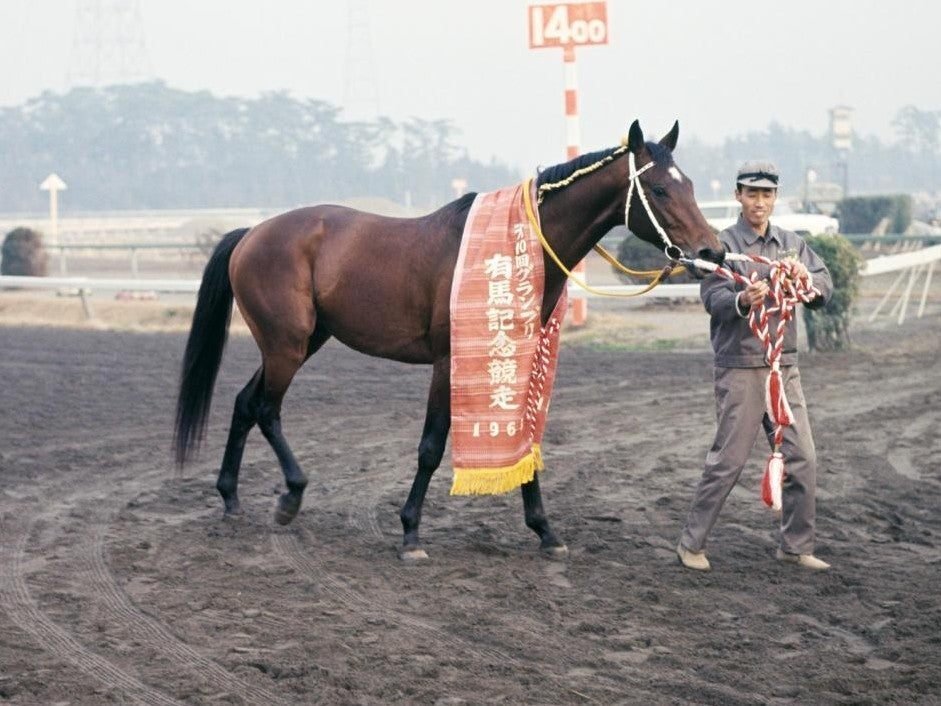 競馬】ウマ娘だけじゃ学べない！昭和後期の名馬たち｜マツウラ