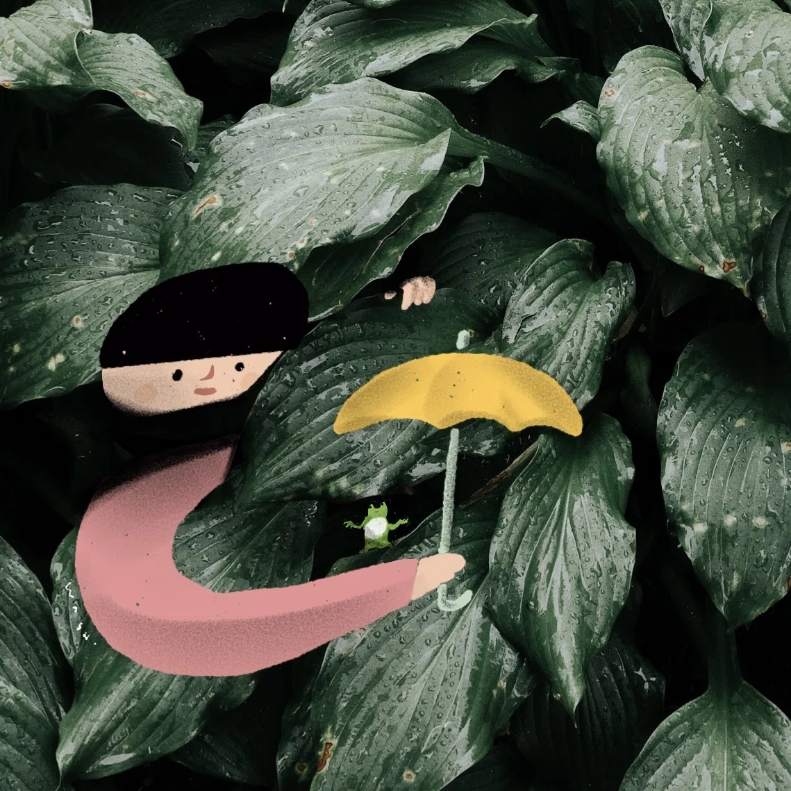 画像