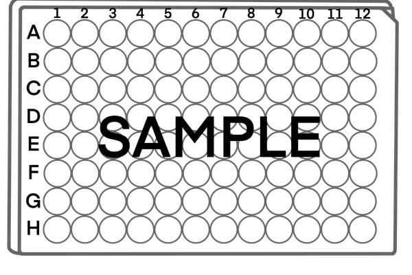 細胞培養 の新着タグ記事一覧 Note つくる つながる とどける 細胞培養 の新着タグ記事一覧 Note つくる つながる とどける