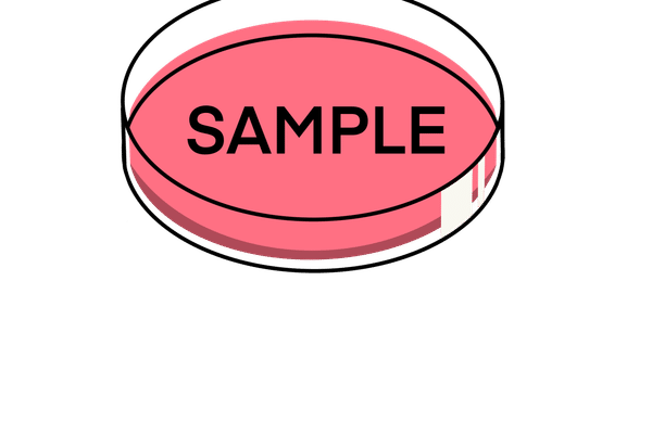 オリジナルイラストオリジナルイラスト の新着タグ記事一覧 Note つくる つながる とどける オリジナルイラストオリジナルイラスト の新着タグ記事一覧 Note つくる つながる とどける