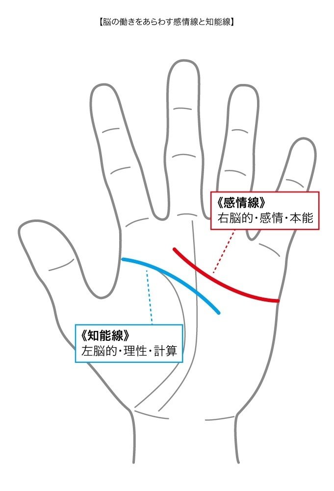 開運と成功　人相の正しい見方 ca0a7f3701ee490c383d13b5a7baef