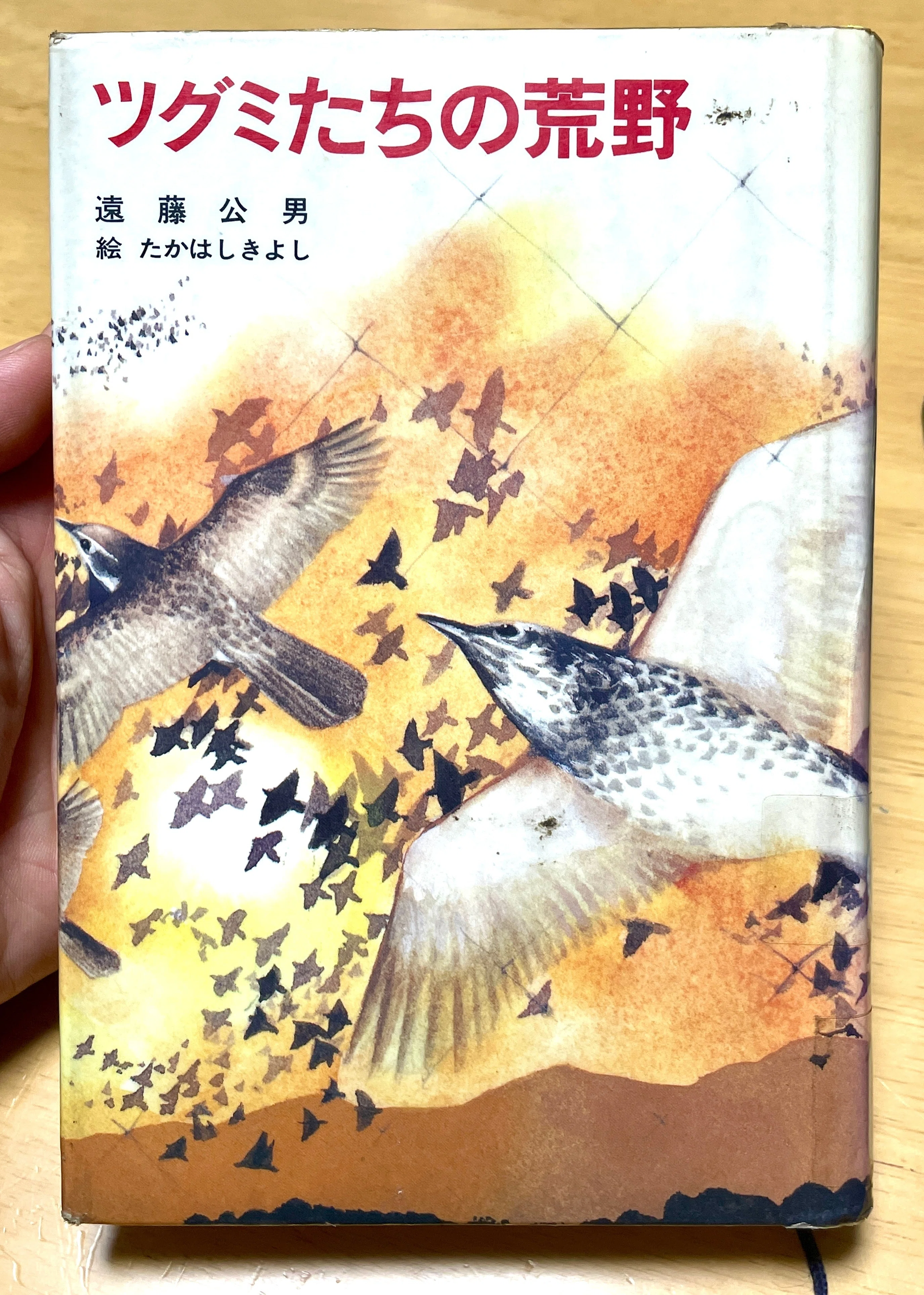 【レア】ツグミたちの荒野 欲望」を制するのは「感性」と「理性」か。いや…ー「ツグミたちの荒野