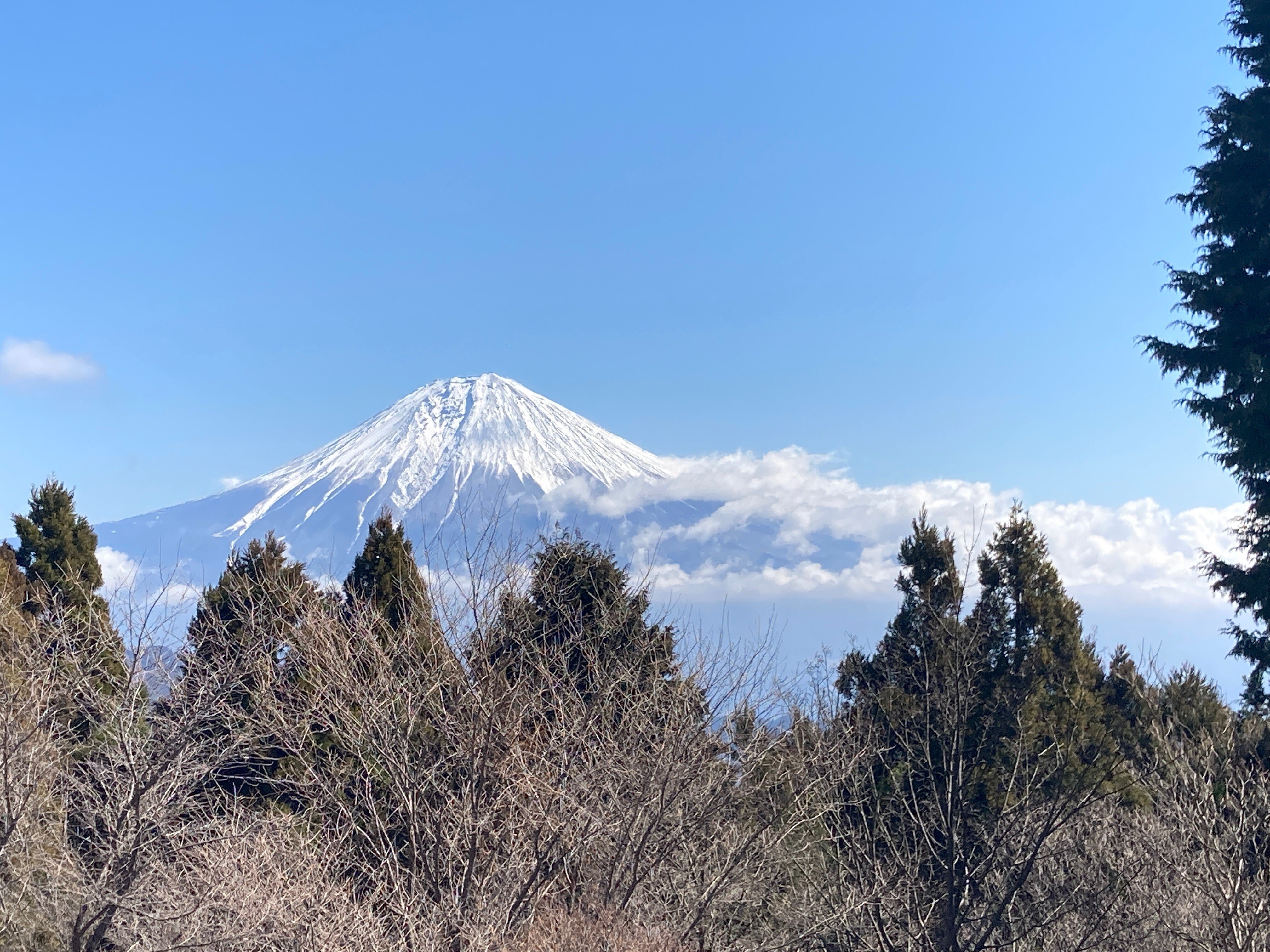 日親聖人、日周上人（寛永19年）、日薪上人（嘉永3年）身延山主６６世 身延山第29世日莚上人と莚師法縁隆源会