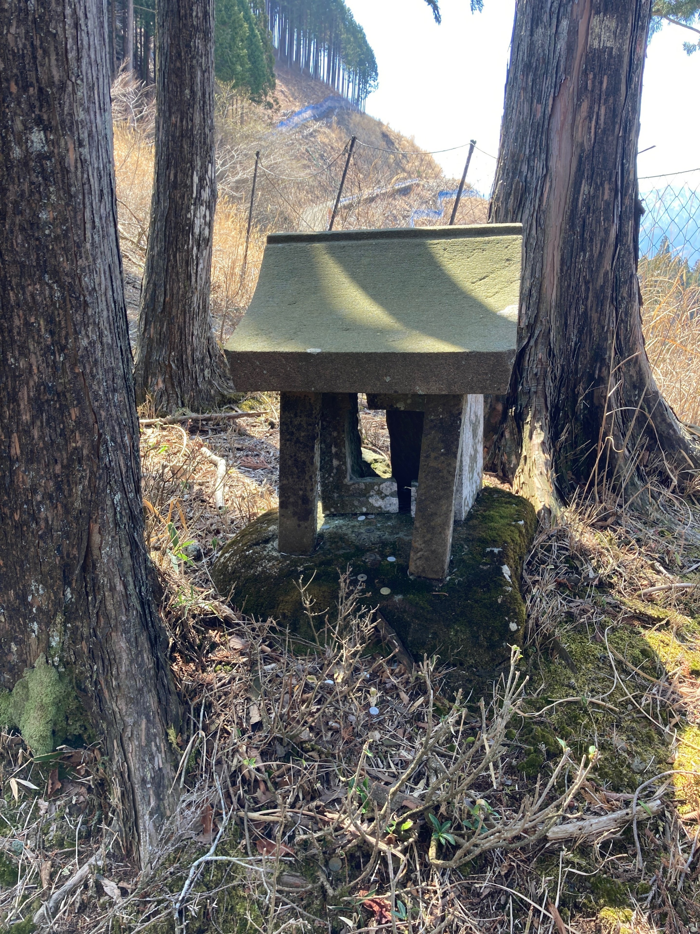 日親聖人、日周上人（寛永19年）、日薪上人（嘉永3年）身延山主６６世 解説A021.jpg?resize=750,510&ssl=1
