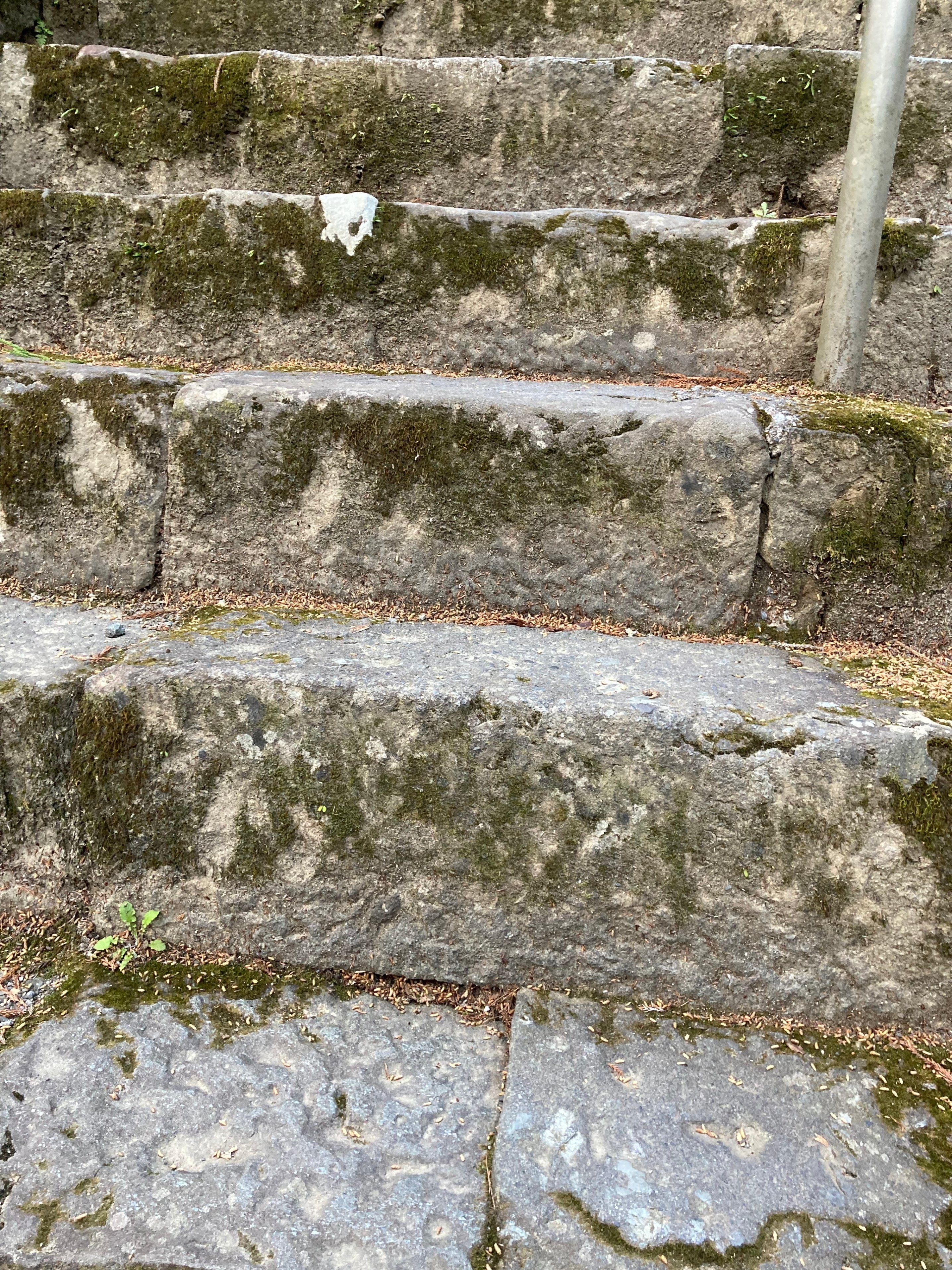 日蓮聖人の足跡を辿る(思親山・身延山)/歴史探訪⑤-1｜OMU世界史