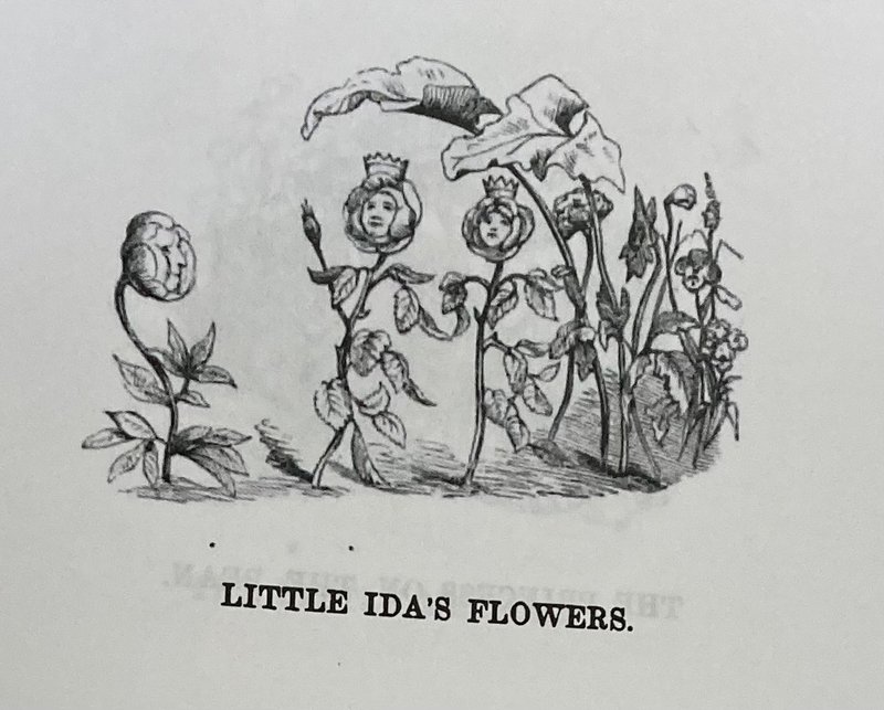 LITTLE IDA'S FLOWERS