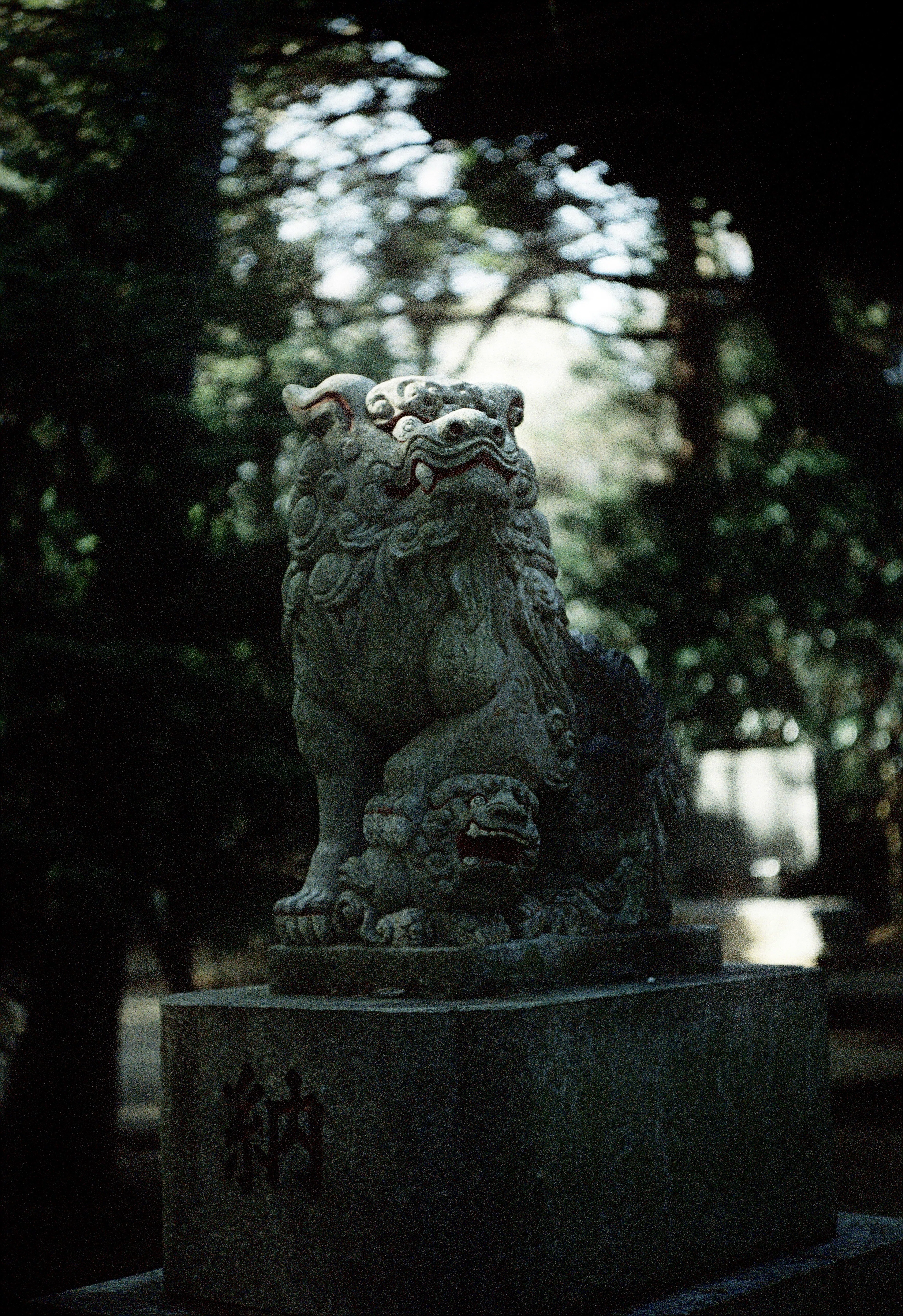 Canon P + Canon 50mm f2.2 （Film：FUJIFILM SPERIA Venus 800