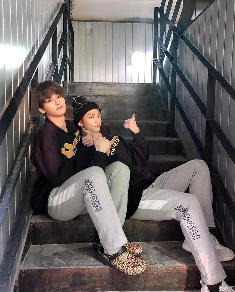 エアフライヤー組🐰🦙(リノ✖️ヒョンジン)｜はんこ。