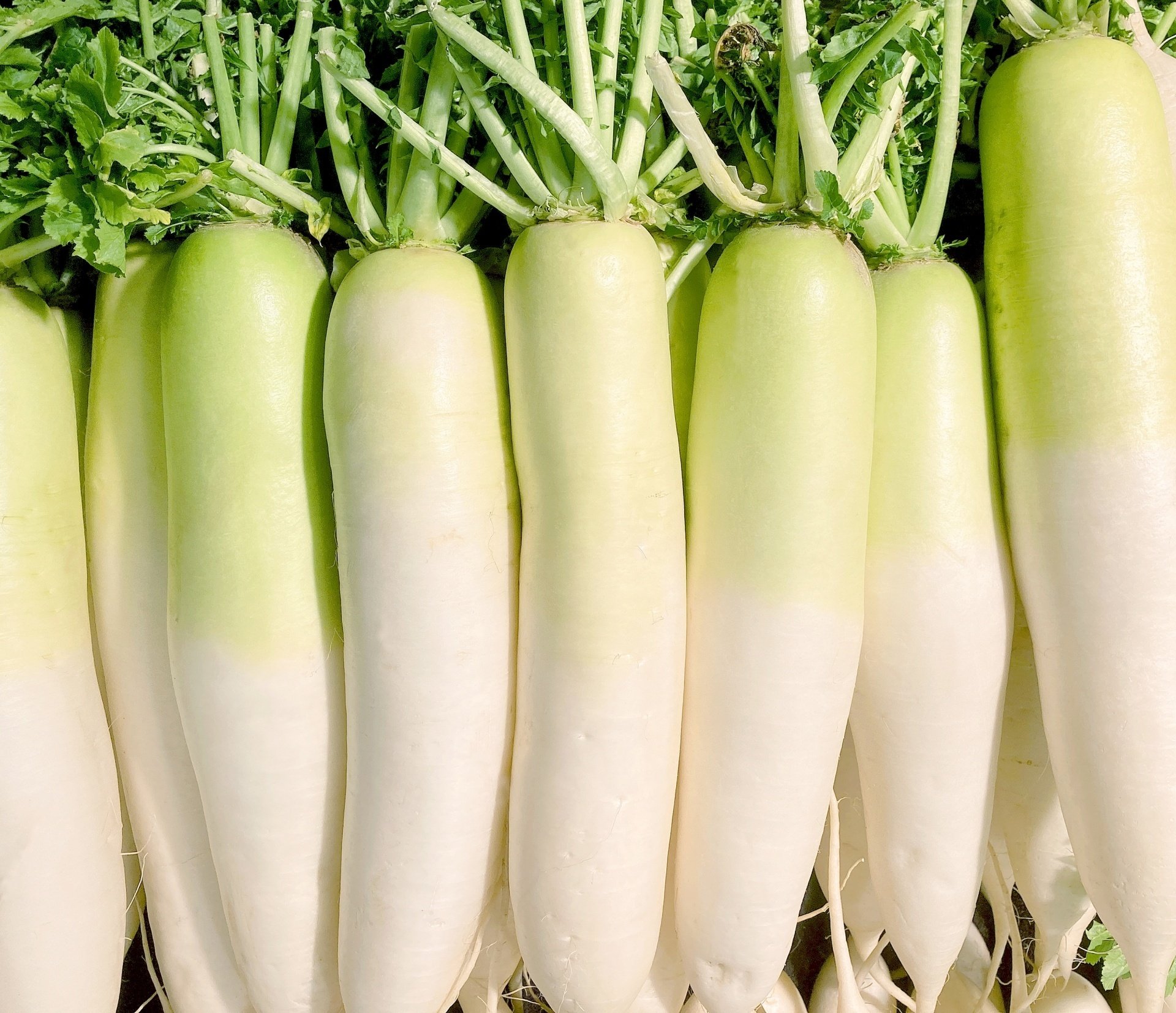 業務用野菜の現状 業務用だいこんについて アグリペディア Note 業務用野菜の現状 業務用だいこんについて アグリペディア Note