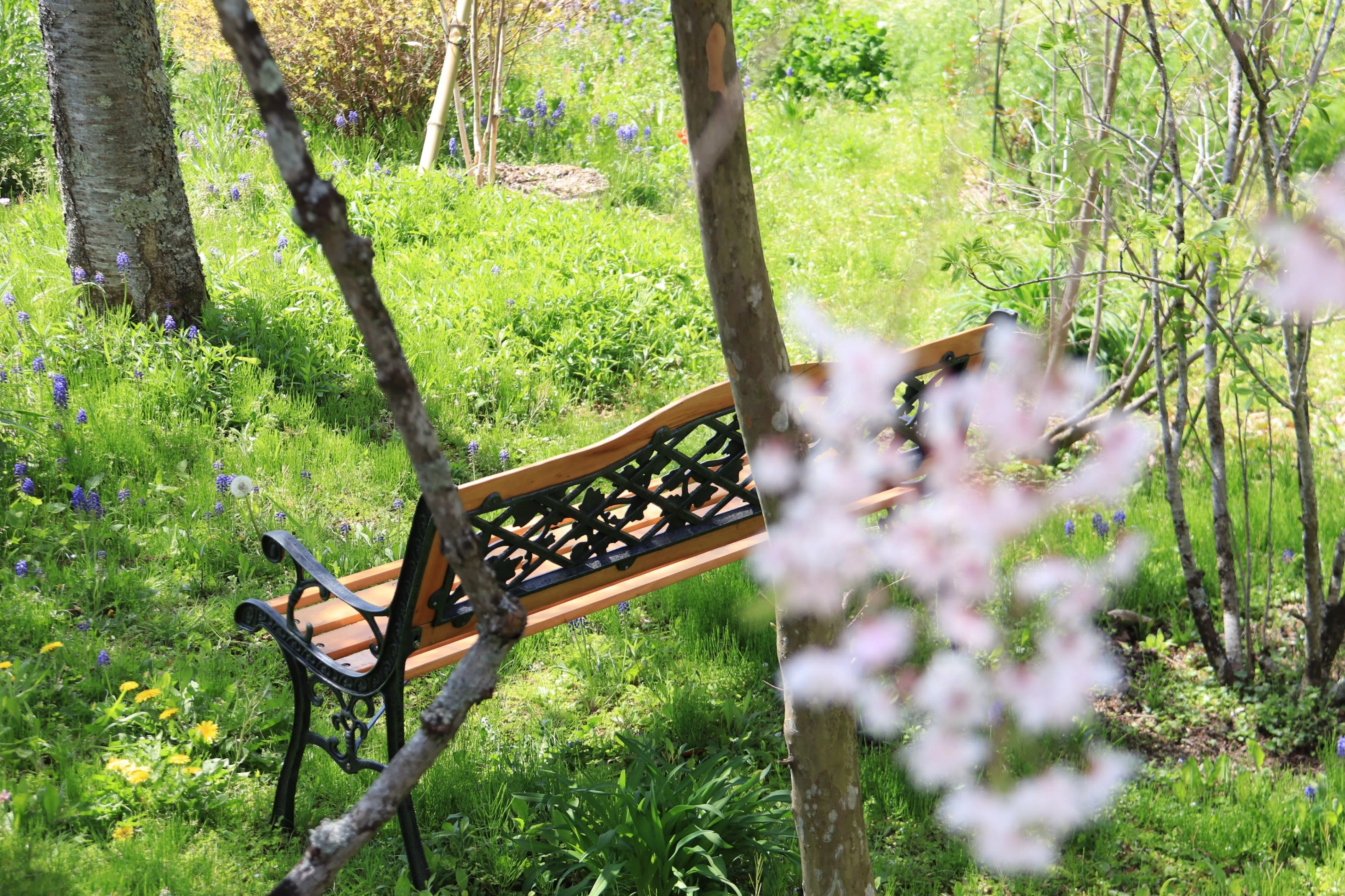 感動の声が響く庭 里山オープンガーデンかの2022｜ふみぞう