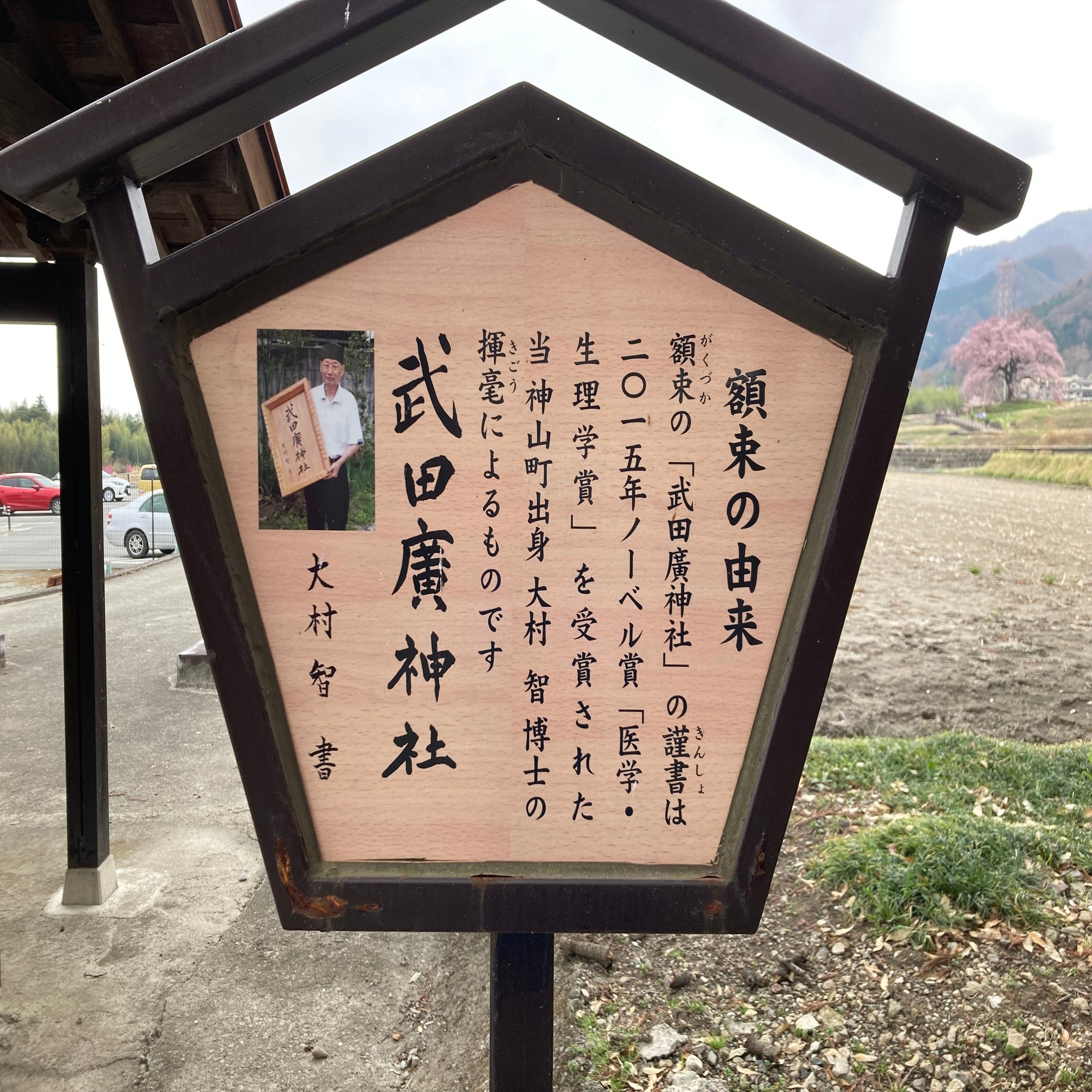 わに塚のサクラ 武田の里をめぐる1日ウォーキングツアー 第１弾3 29編 韮崎市ふるさと納税 Note