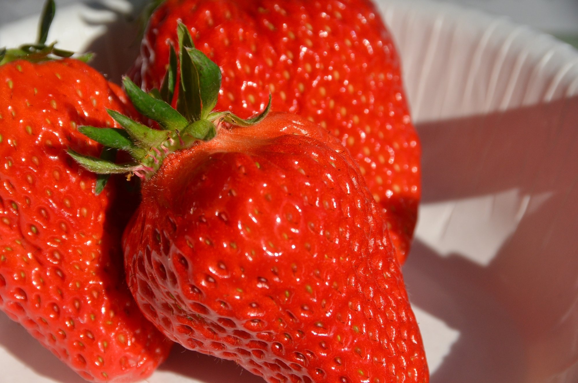 思い出や感動を常に提供できる場所でありたい いちご栽培発祥の地から 長野県小諸市 思い出や感動を常に提供できる場所でありたい いちご栽培発祥の地から 長野県小諸市