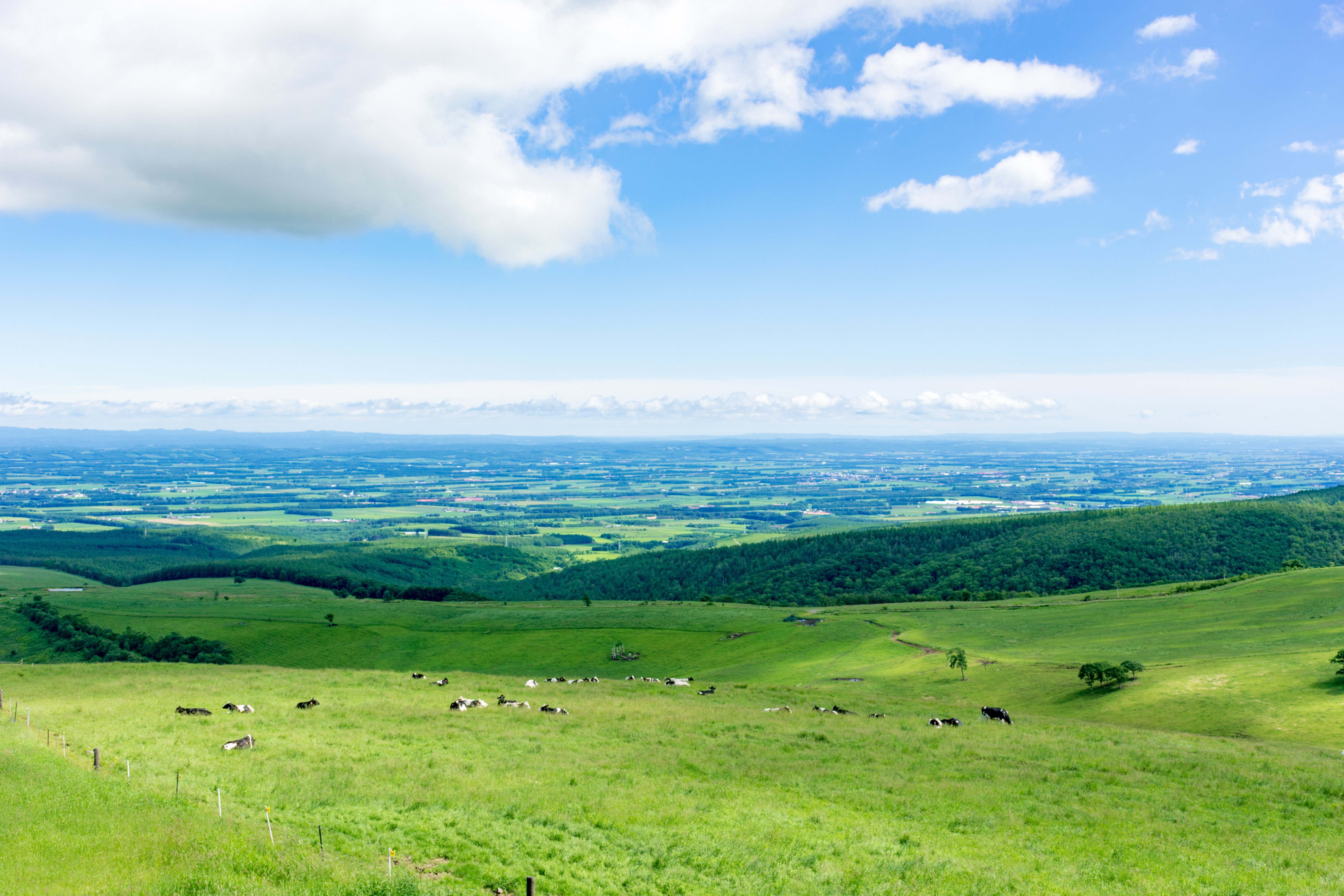 美しい日本の風景】北海道 ナイタイ高原牧場｜【HIS公式