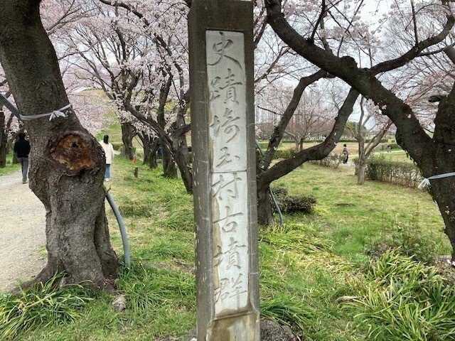 さきたま古墳とゼリーフライ｜ケンちゃん