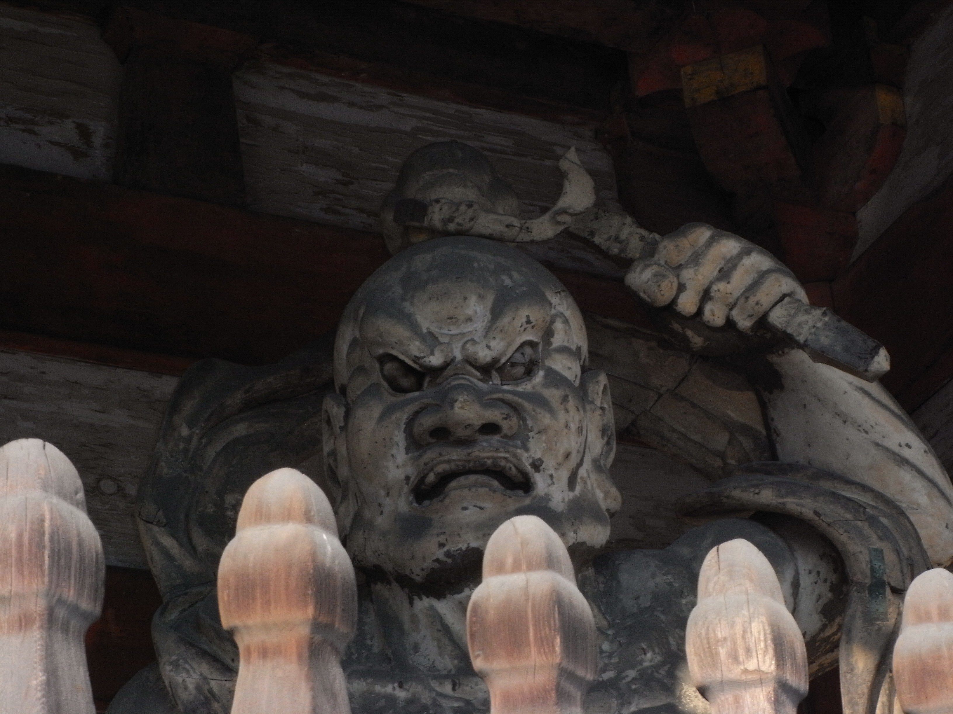 御室桜🌸「仁和寺」🌸三十三間堂×御所!御室10回言うとオムロン!?【きぬ